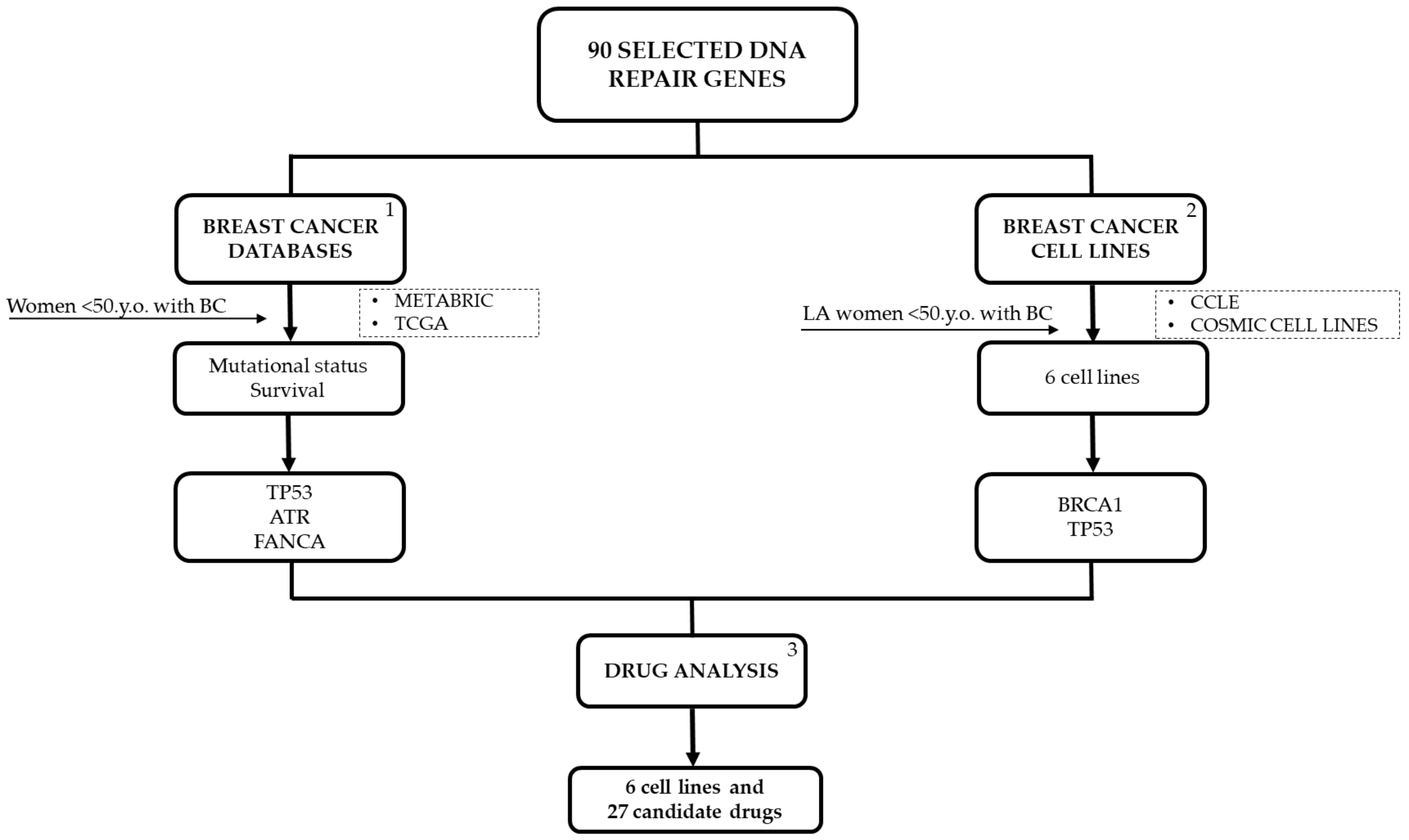 Ijms 22 13030 g009 Ijms 22 13030 g009