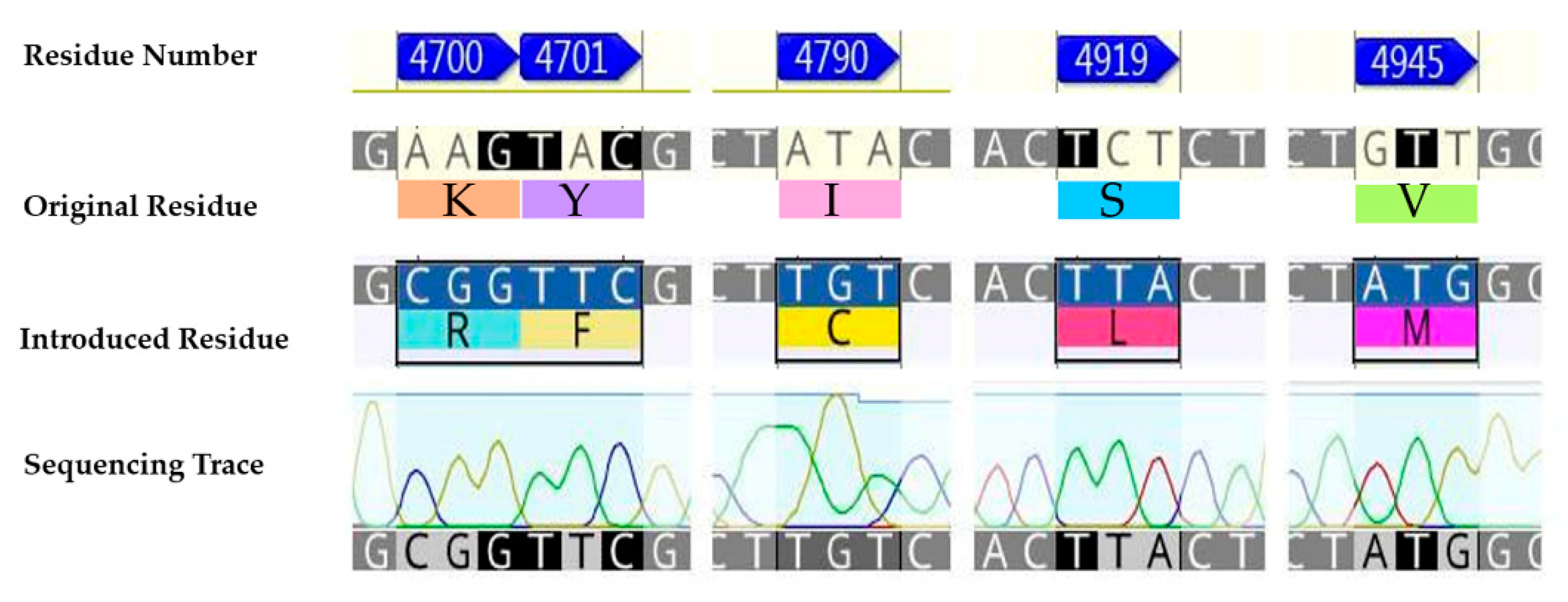 Ijms 22 13033 g002 550