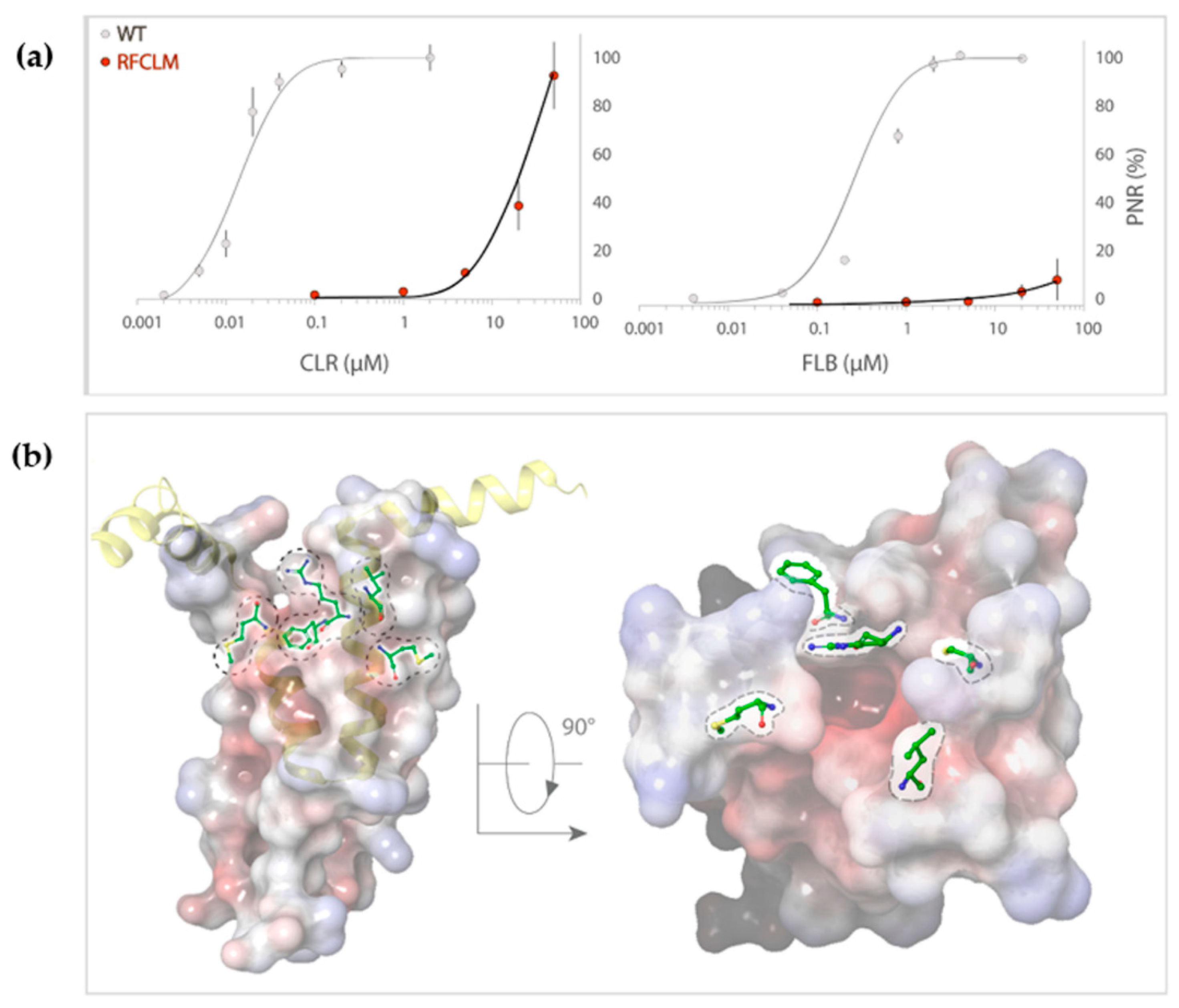 Ijms 22 13033 g004 550