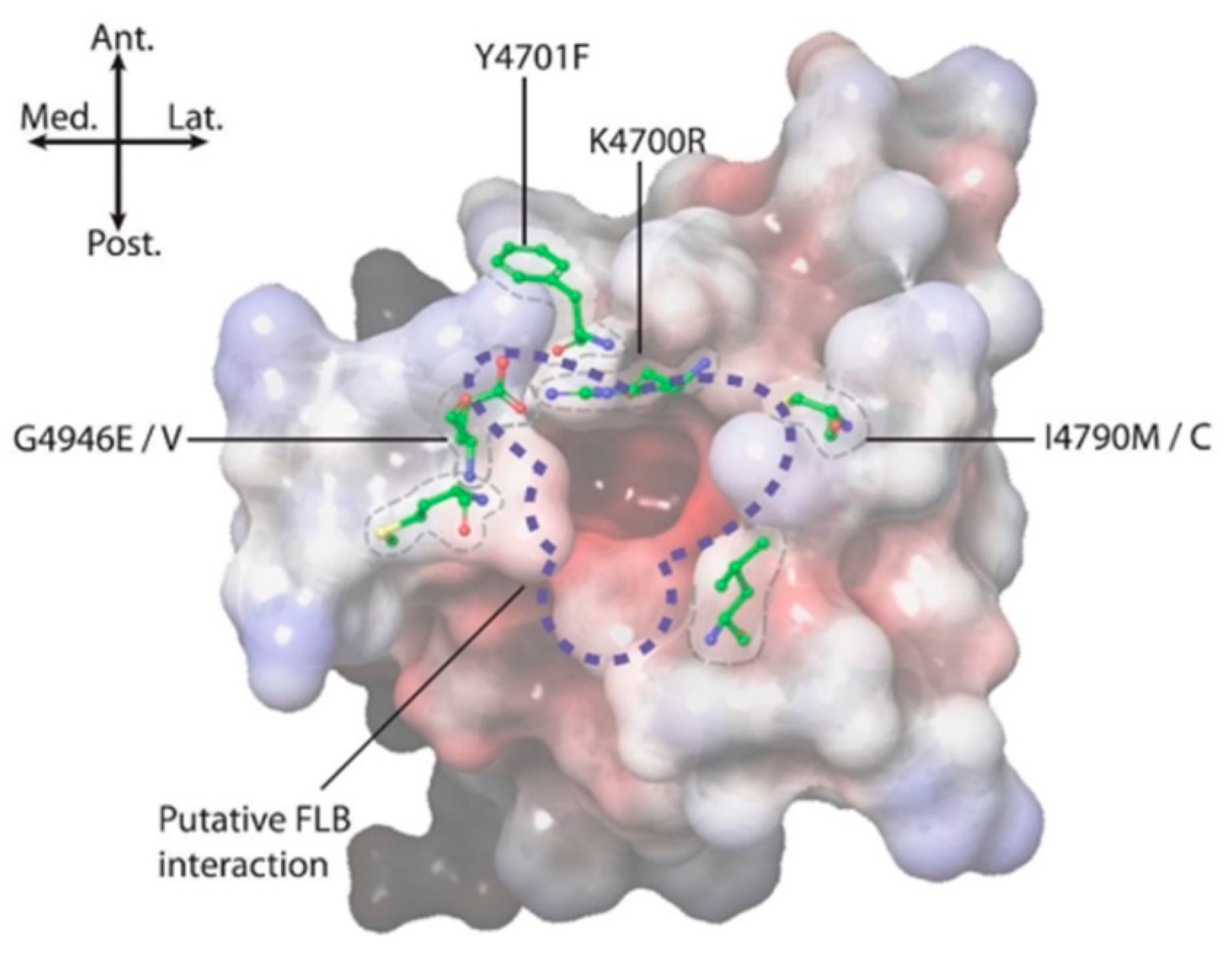 Ijms 22 13033 g008 550