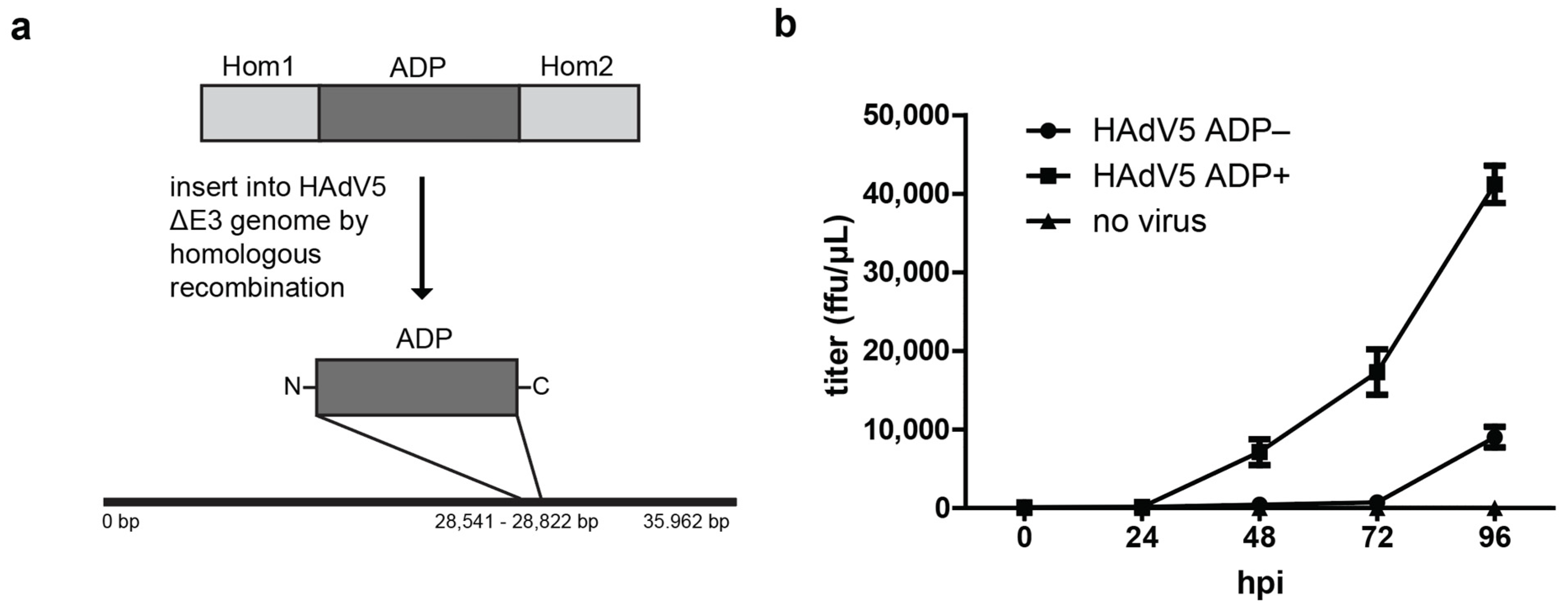 Ijms 22 13034 g001 550