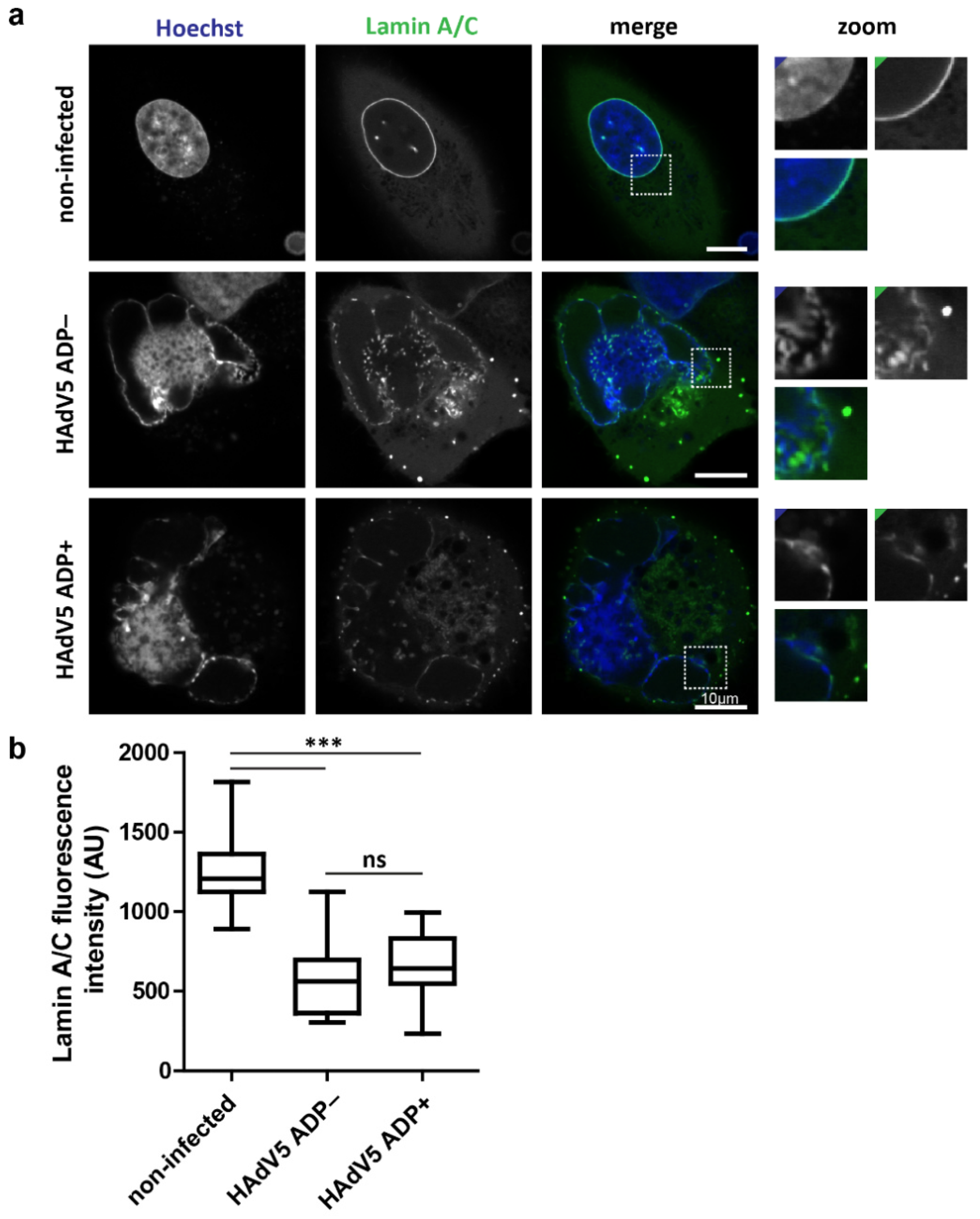 Ijms 22 13034 g002 550