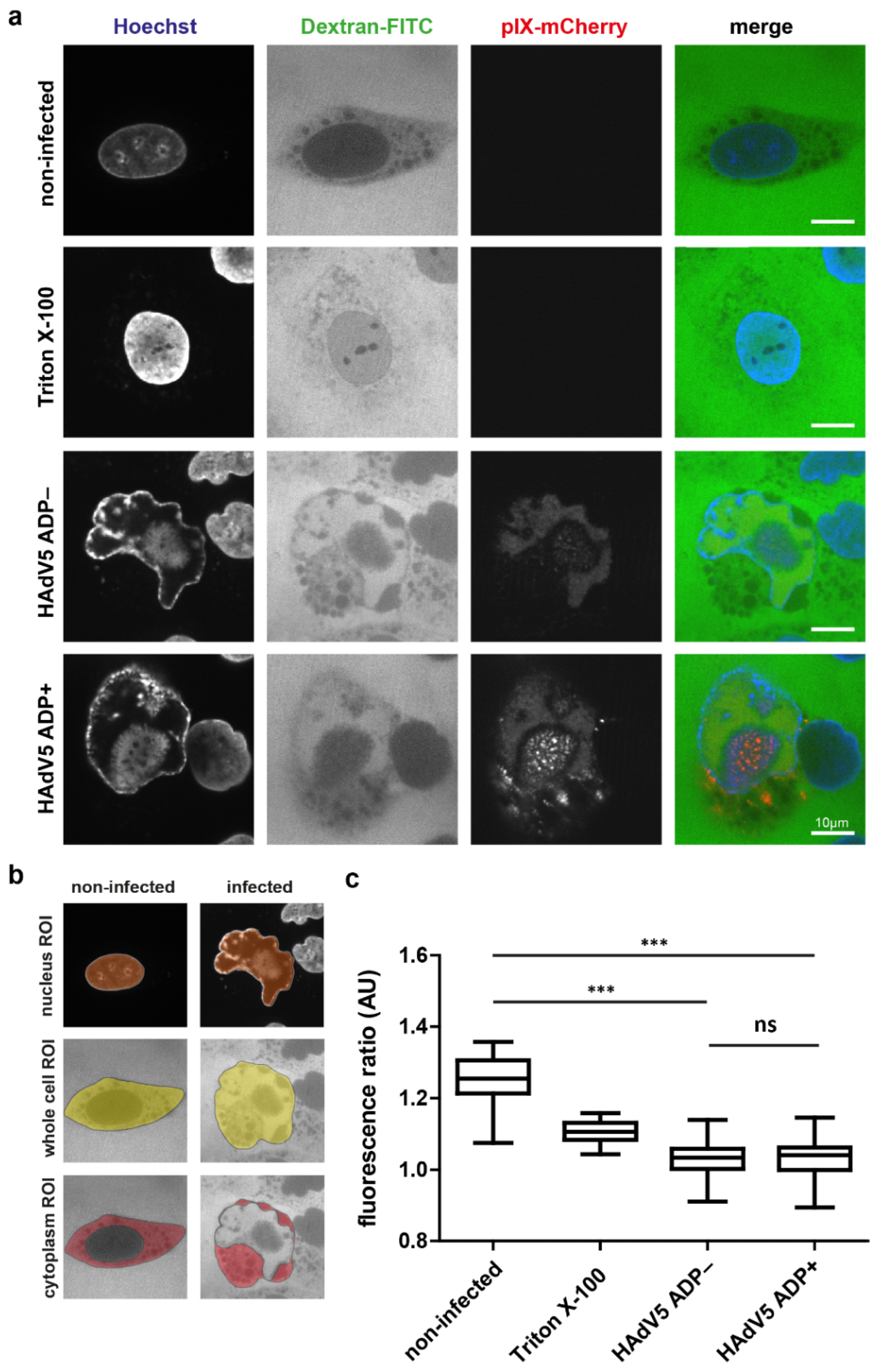 Ijms 22 13034 g005 550