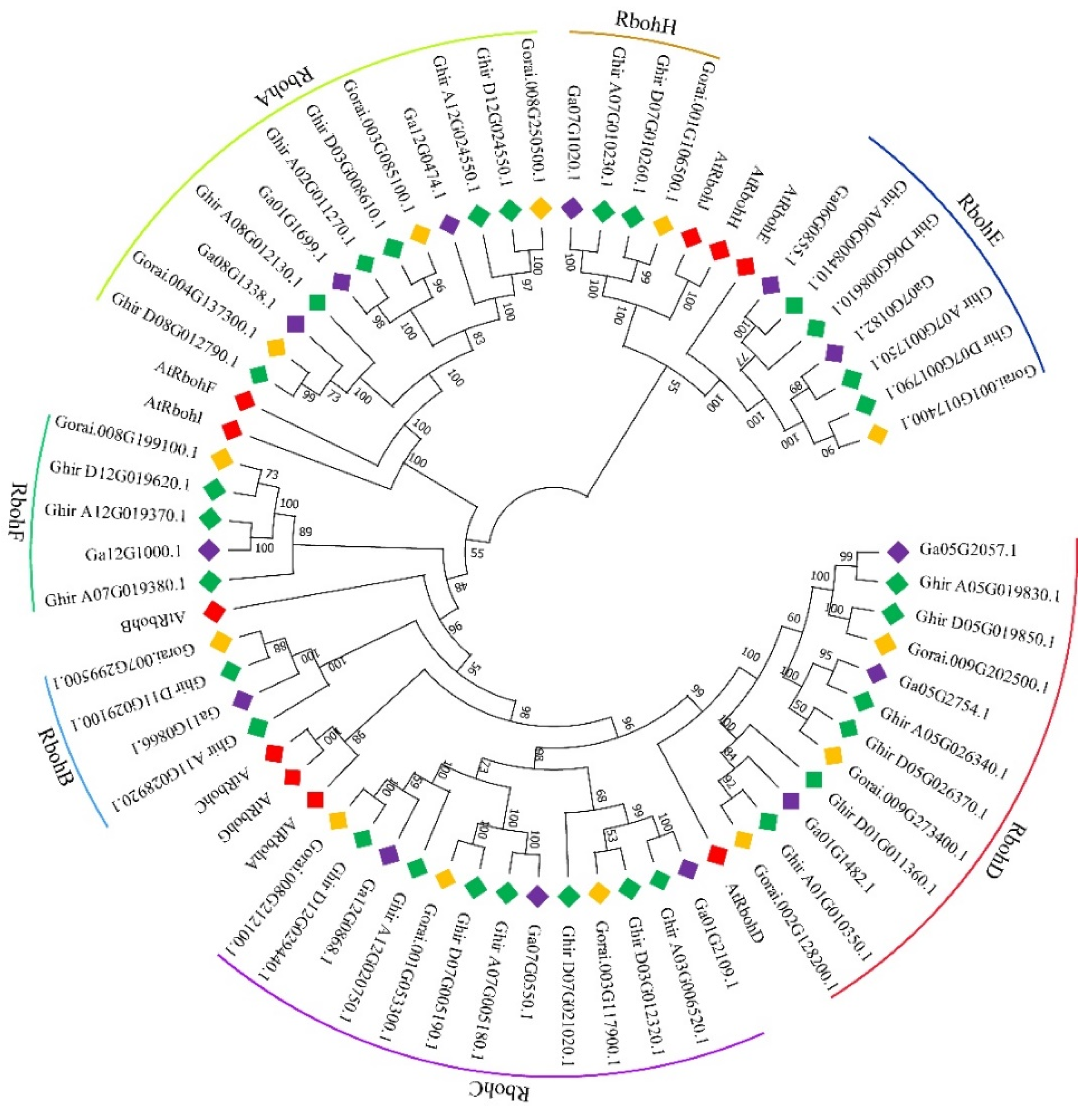 Ijms 22 13041 g001 550