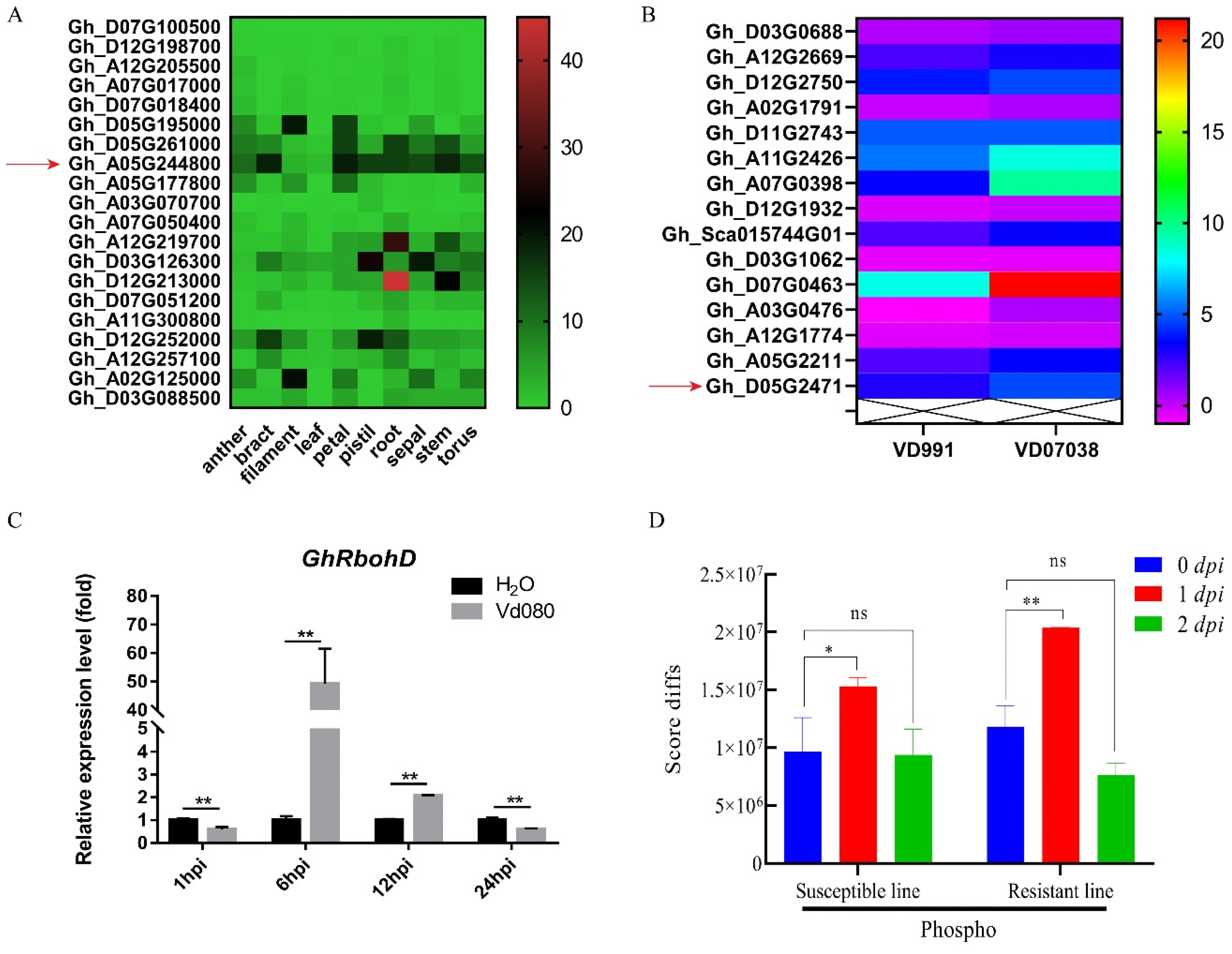 Ijms 22 13041 g002 550