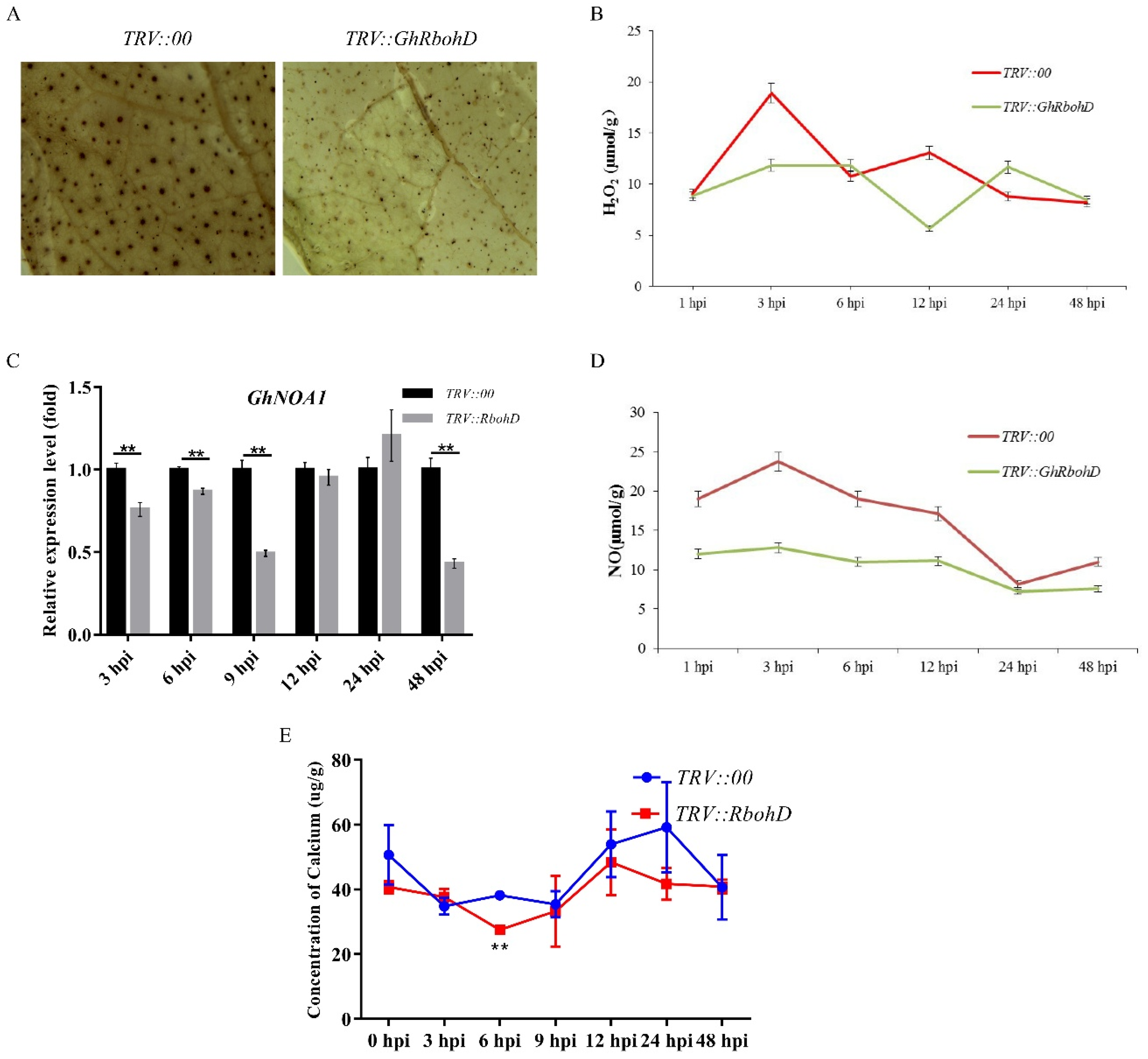Ijms 22 13041 g004 550