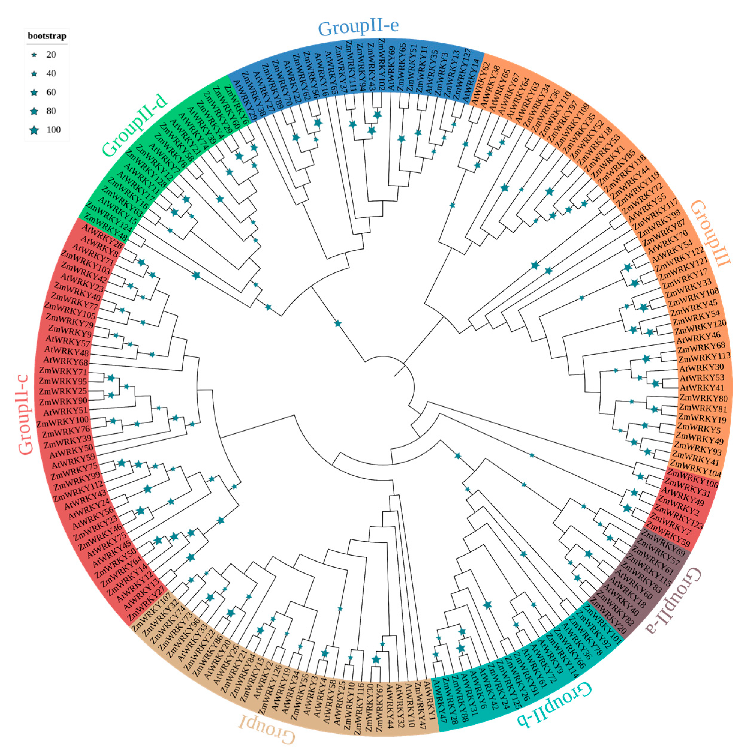 Ijms 22 13045 g001 550