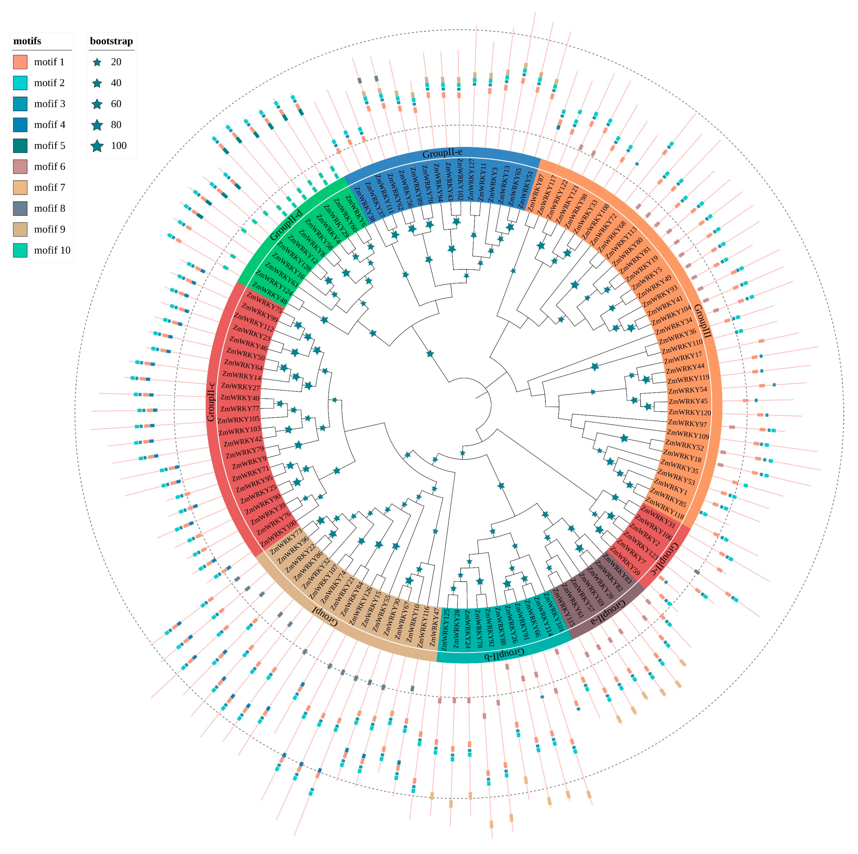 Ijms 22 13045 g002 550