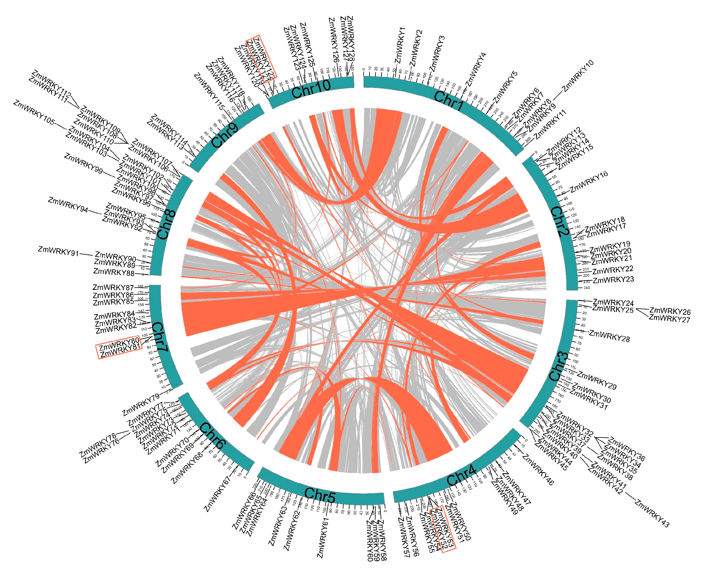 Ijms 22 13045 g003 550