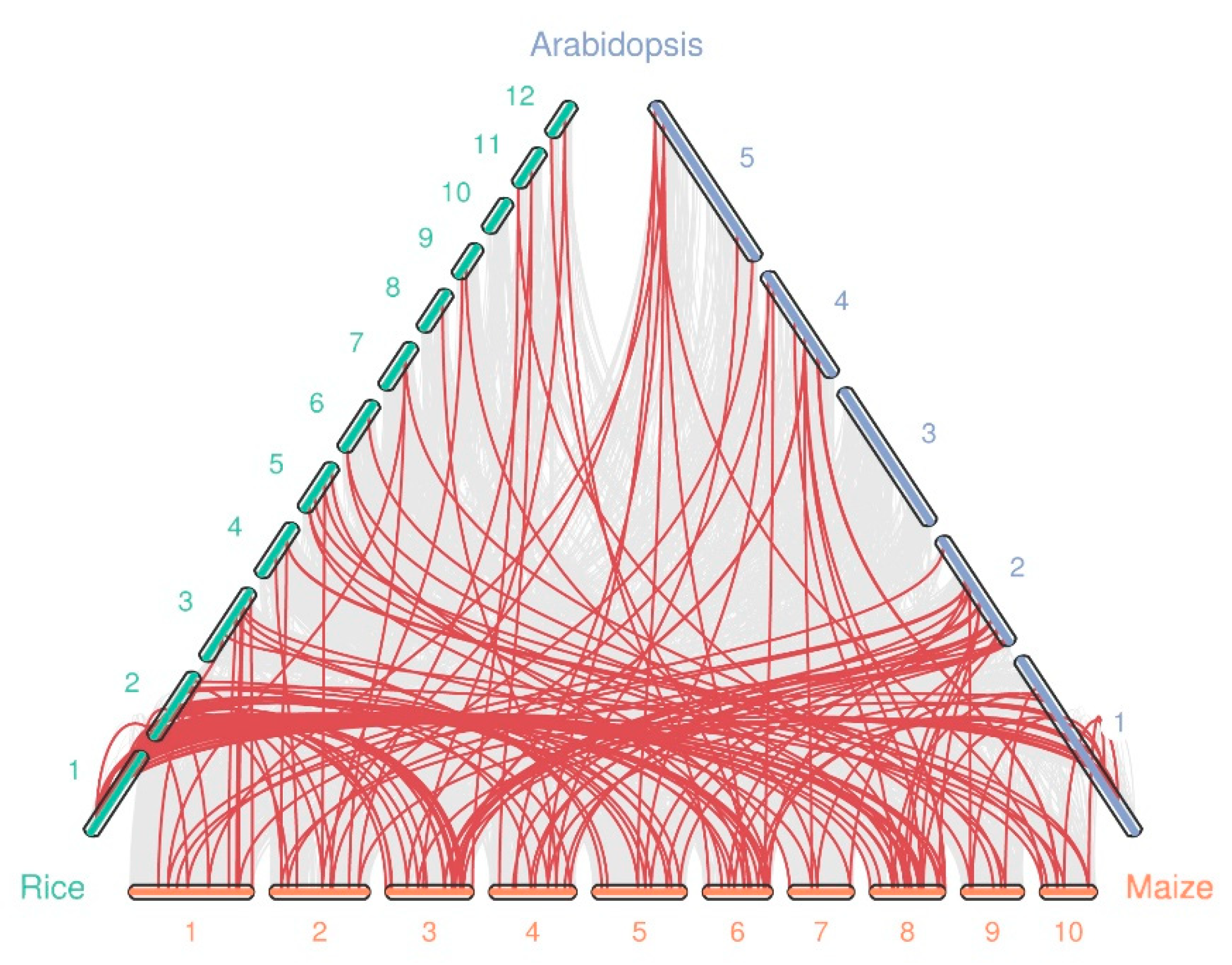 Ijms 22 13045 g004 550