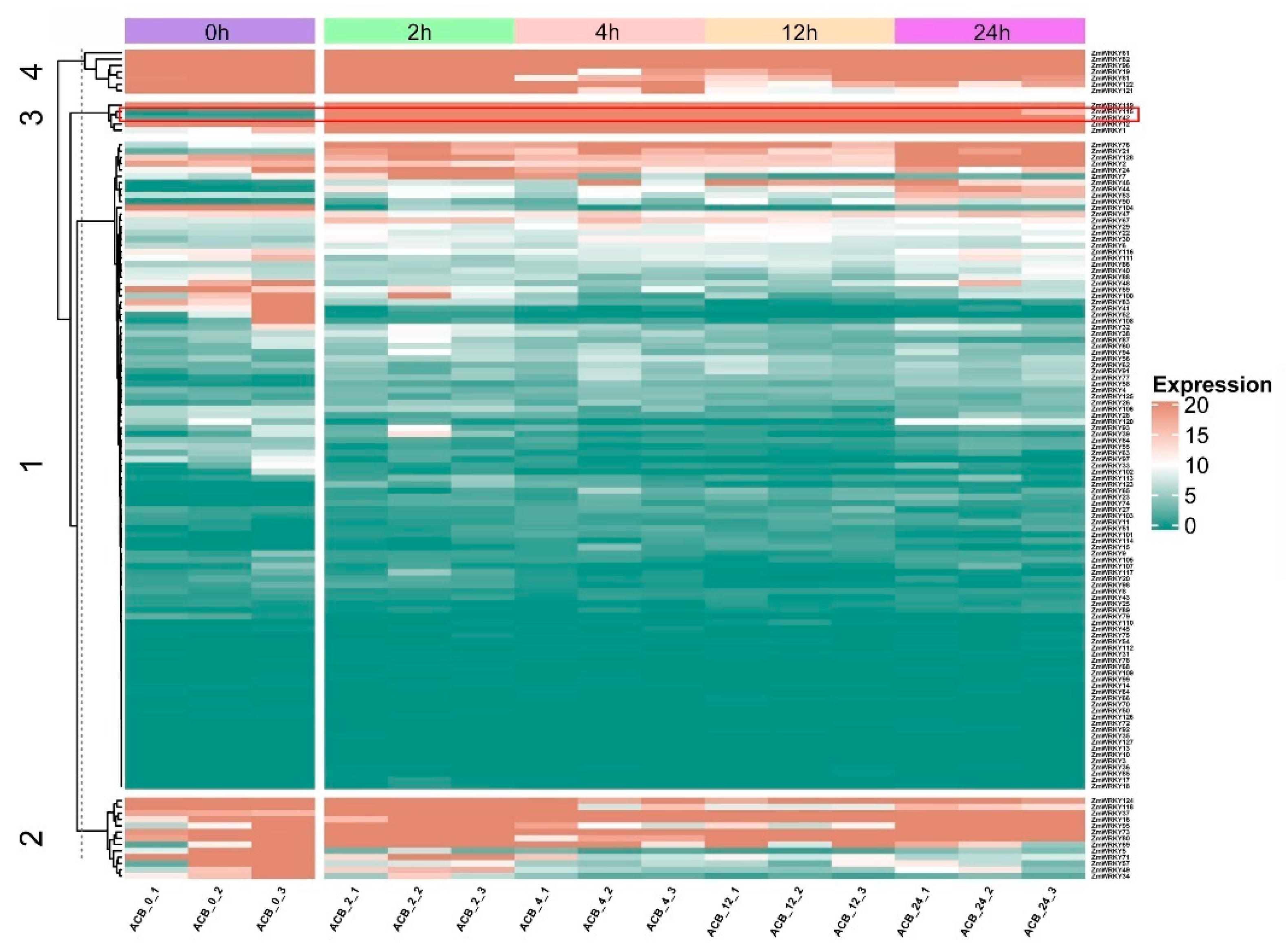 Ijms 22 13045 g005 550