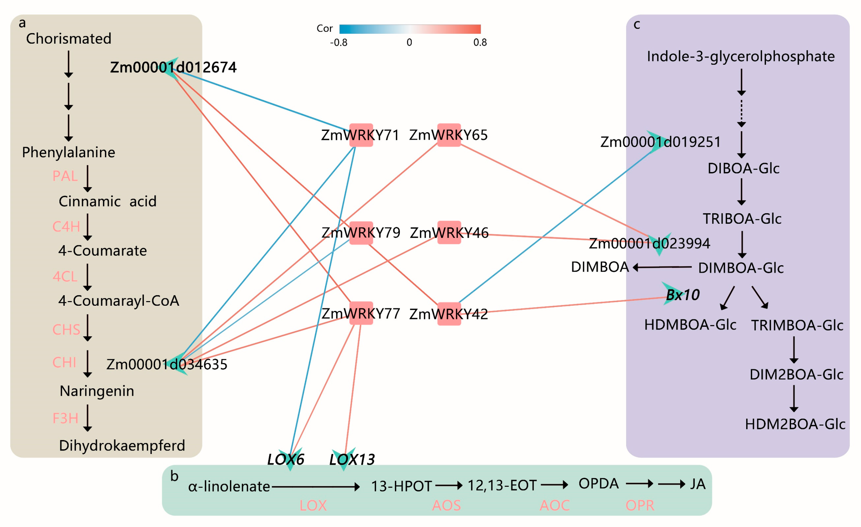 Frontiers  Identification of WRKY gene family members in amaranth based on  a transcriptome database and functional analysis of AtrWRKY42-2 in betalain  metabolism