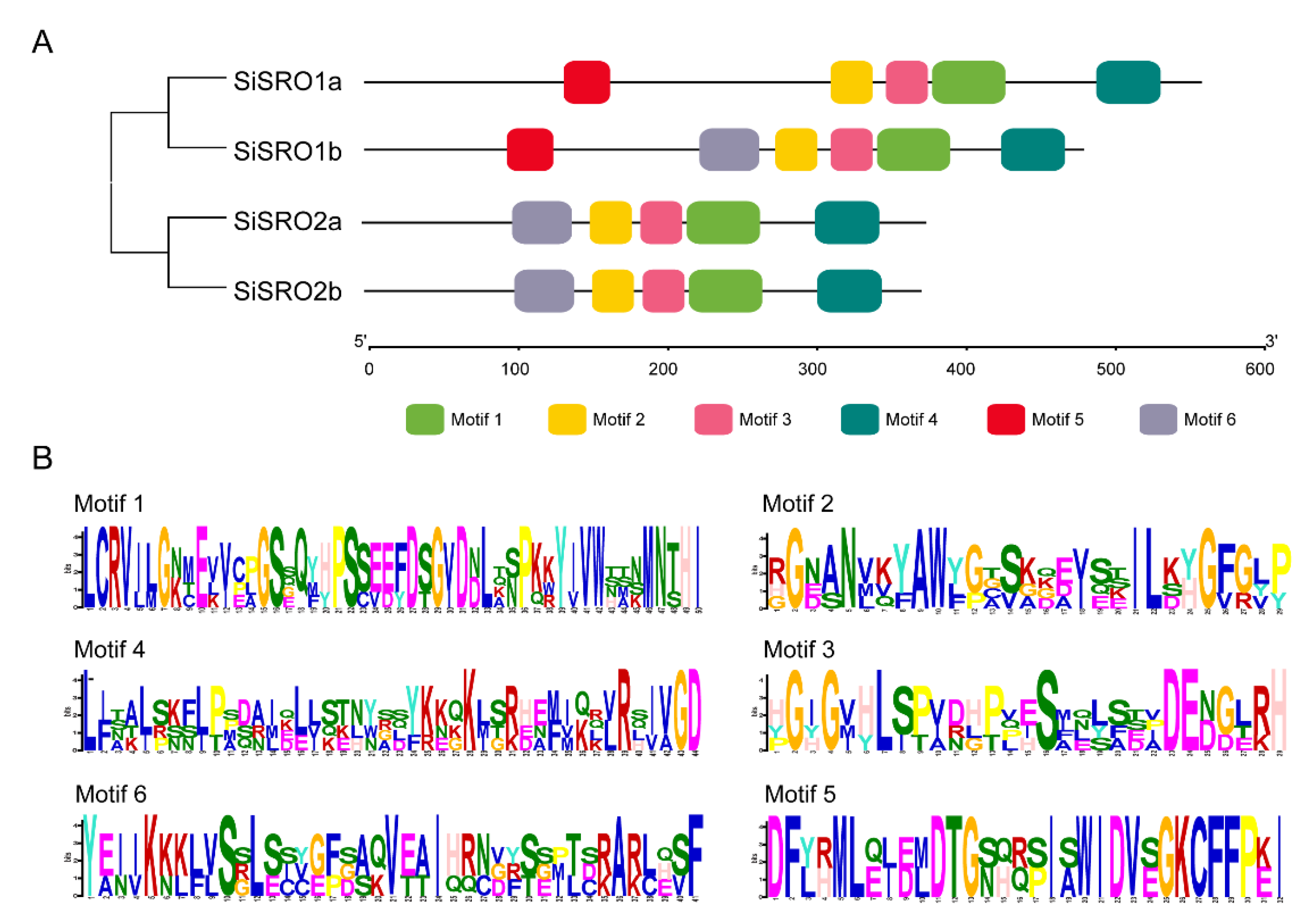 Ijms 22 13048 g003 550