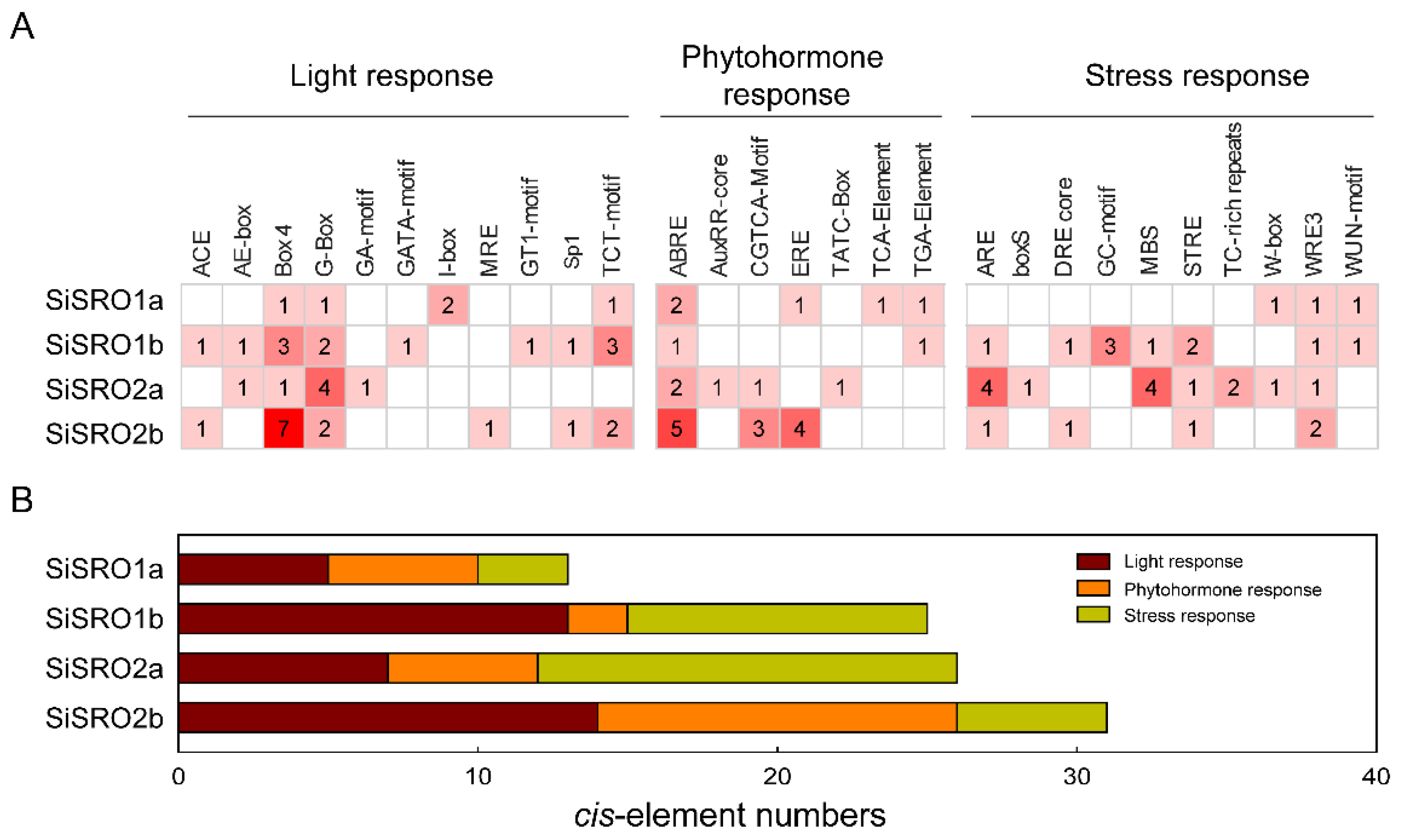 Ijms 22 13048 g004 550