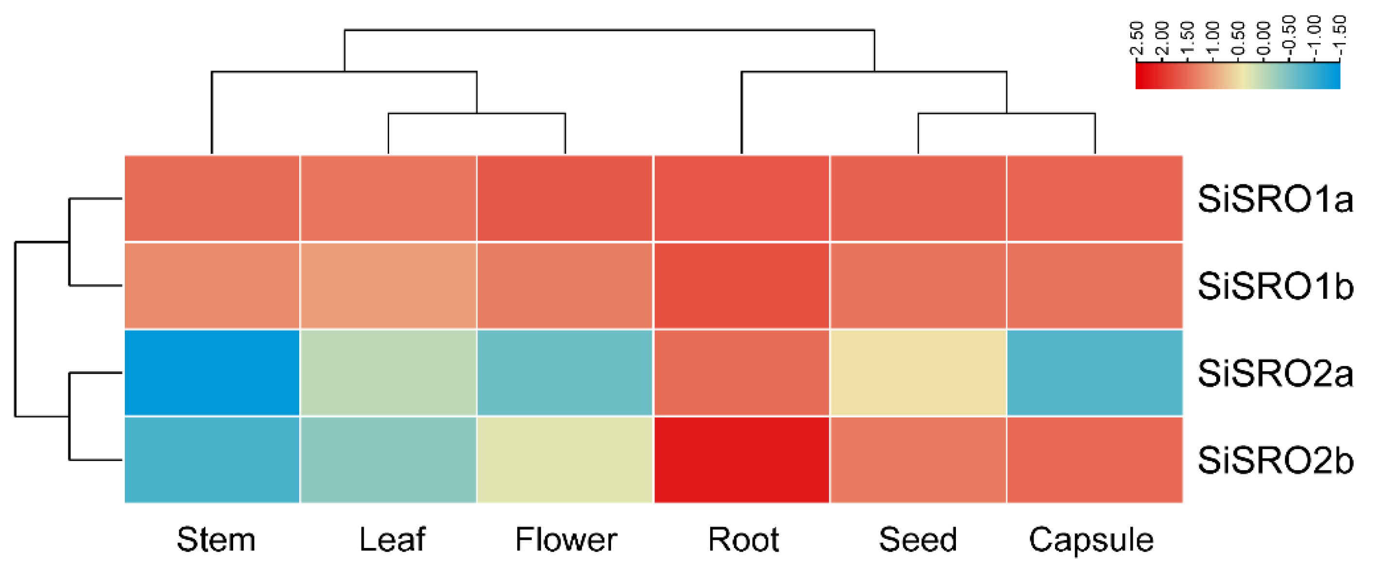 Ijms 22 13048 g005 550