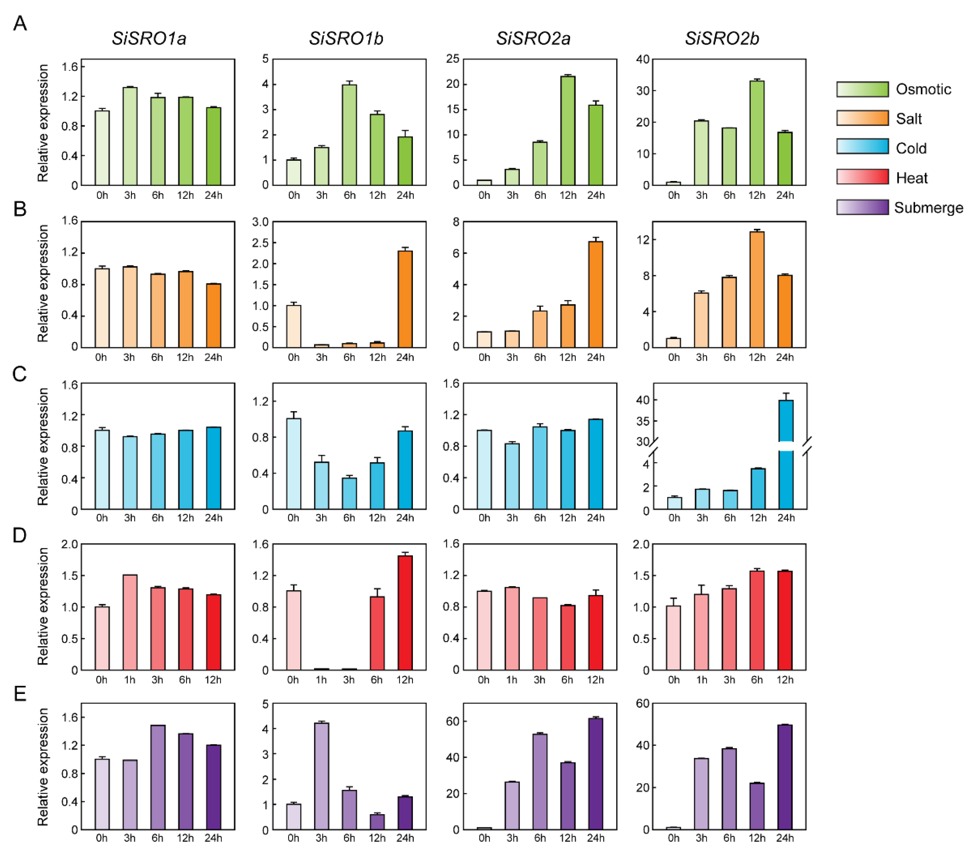 Ijms 22 13048 g006 550