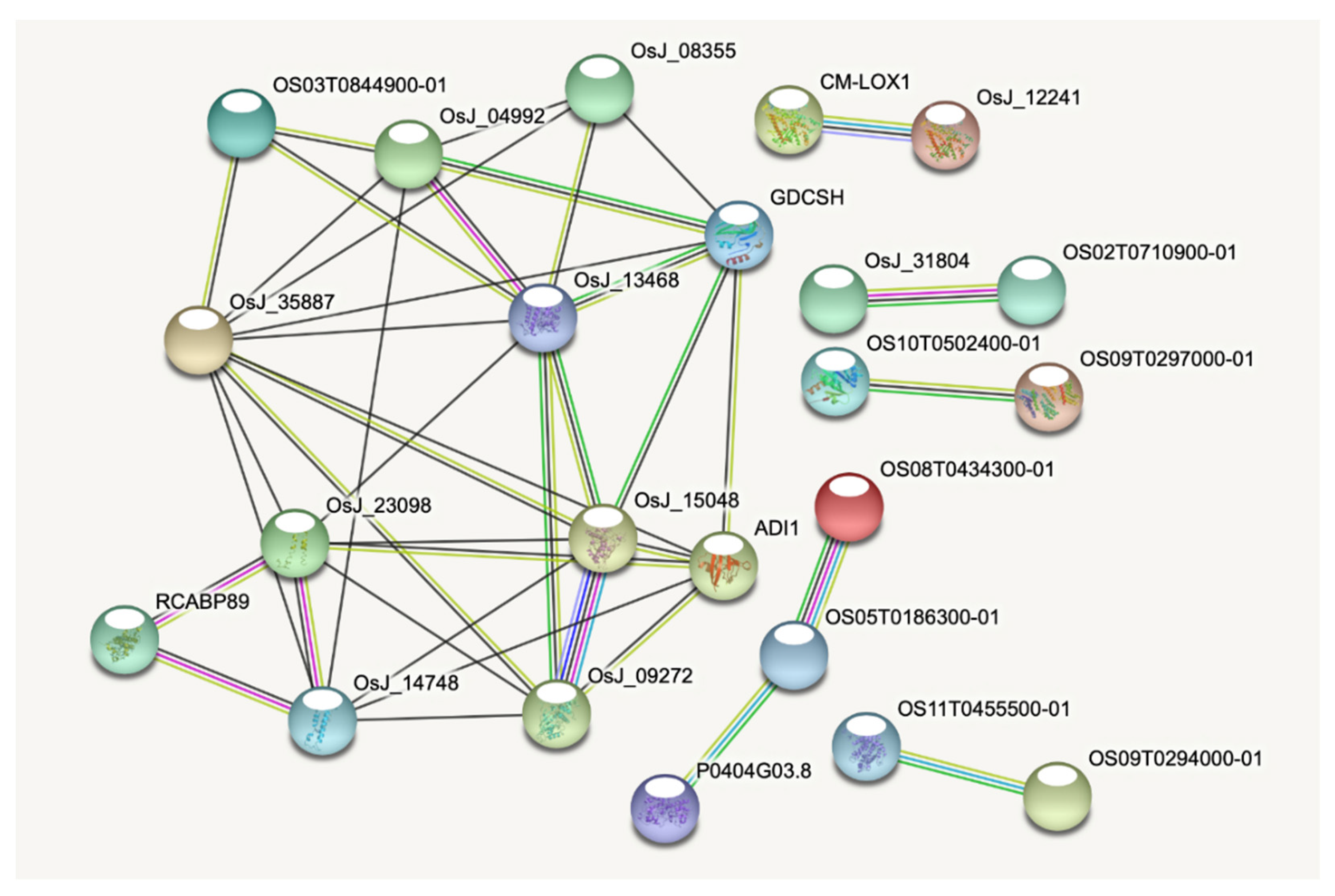 Ijms 22 13062 g003 550