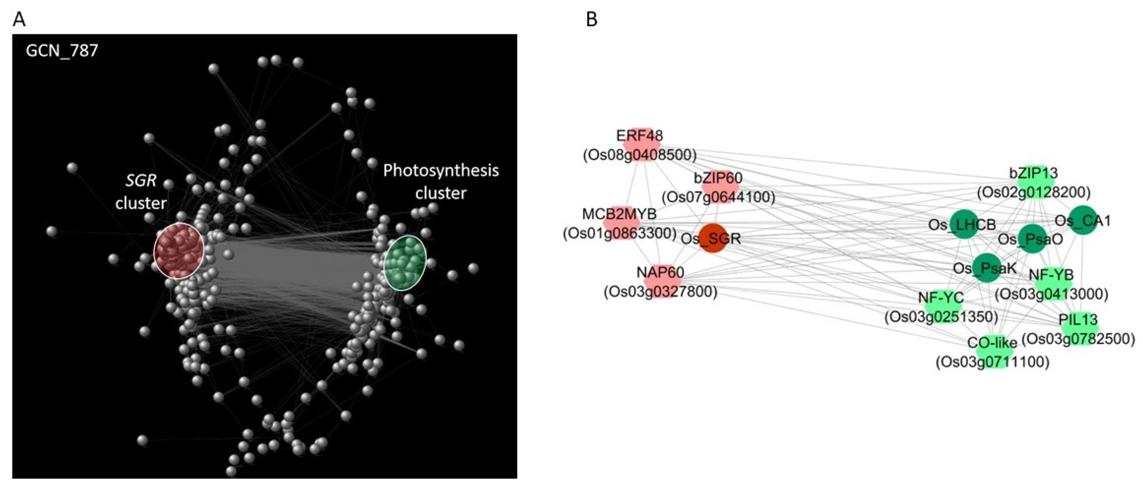 Ijms 22 13062 g005 550