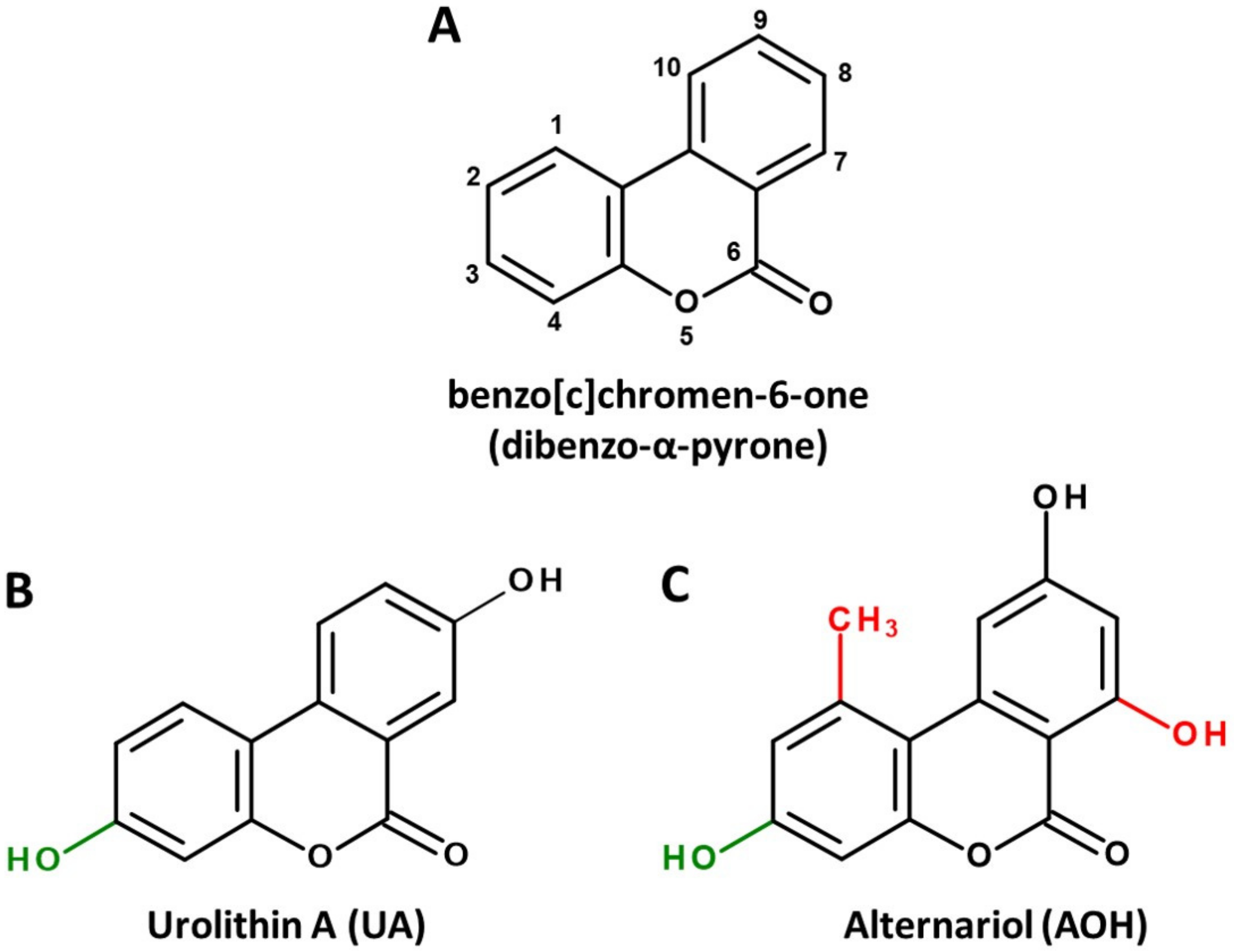 Ijms 22 13063 g001 550