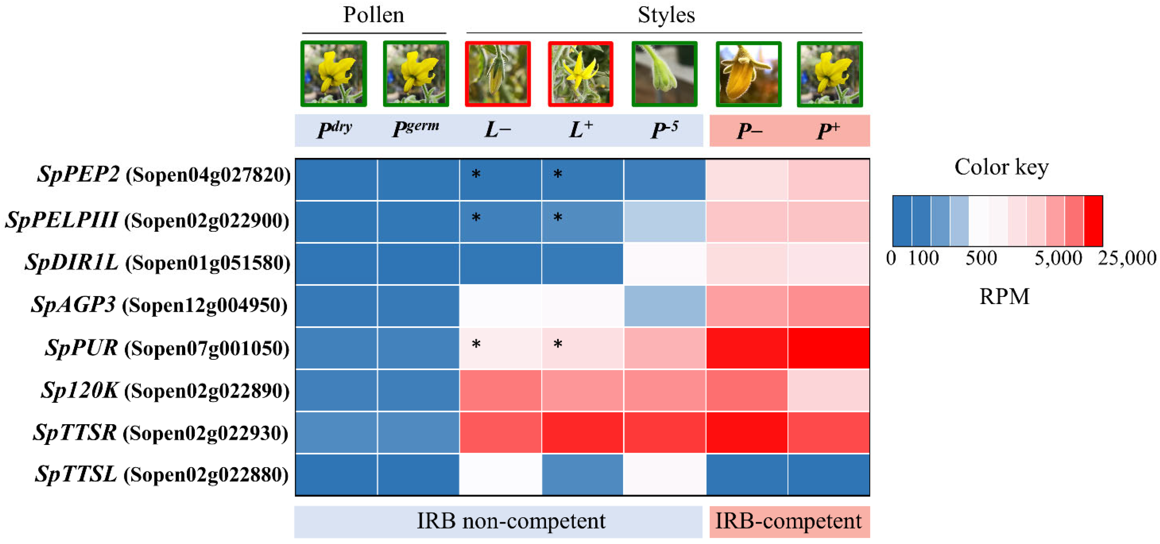 Ijms 22 13067 g001 550