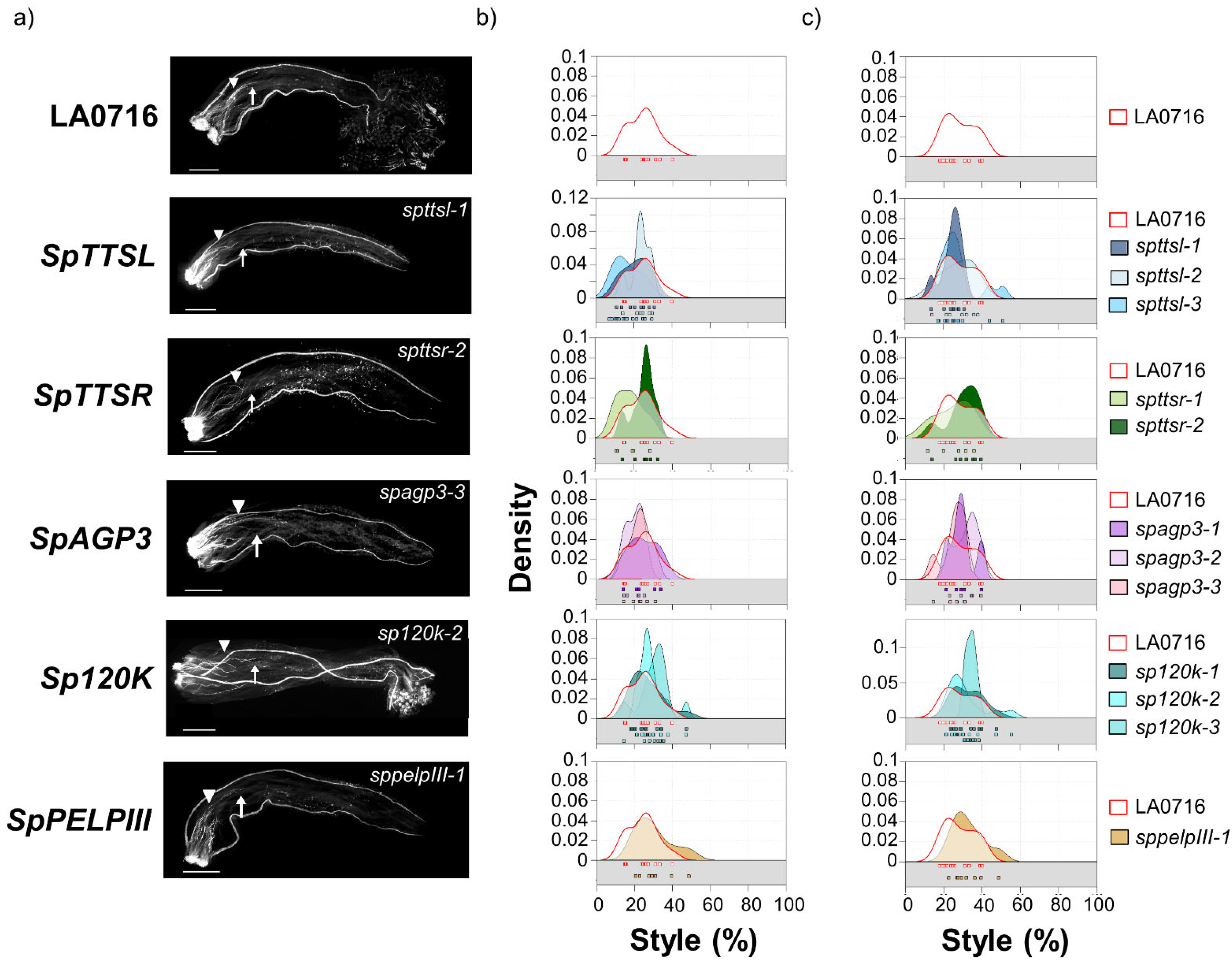 Ijms 22 13067 g002 550