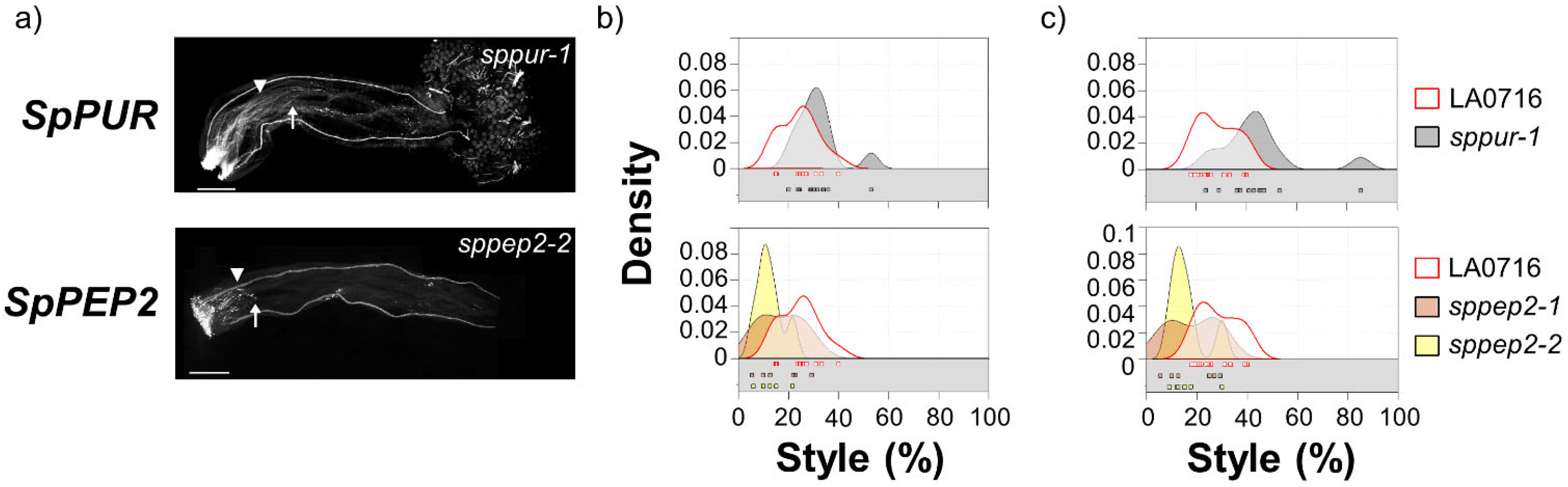 Ijms 22 13067 g003 550