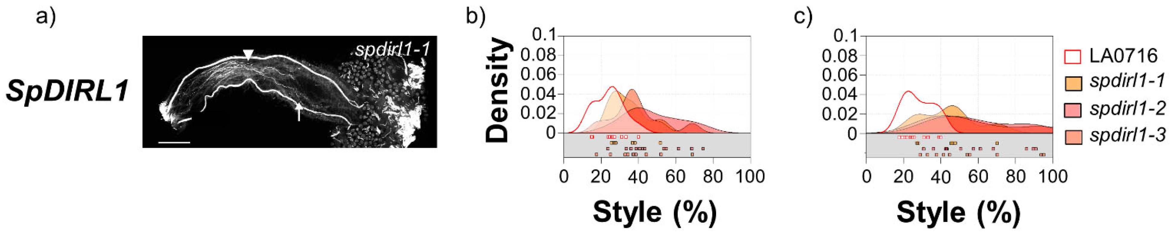 Ijms 22 13067 g004 550