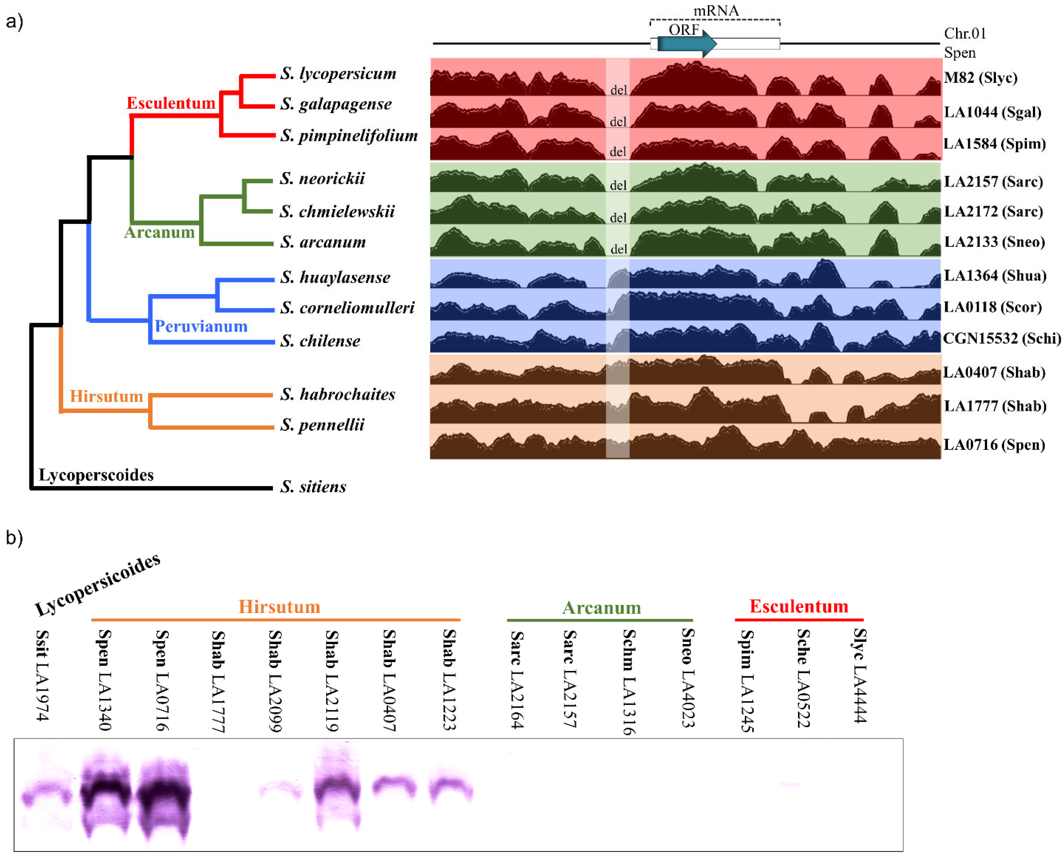 Ijms 22 13067 g005 550