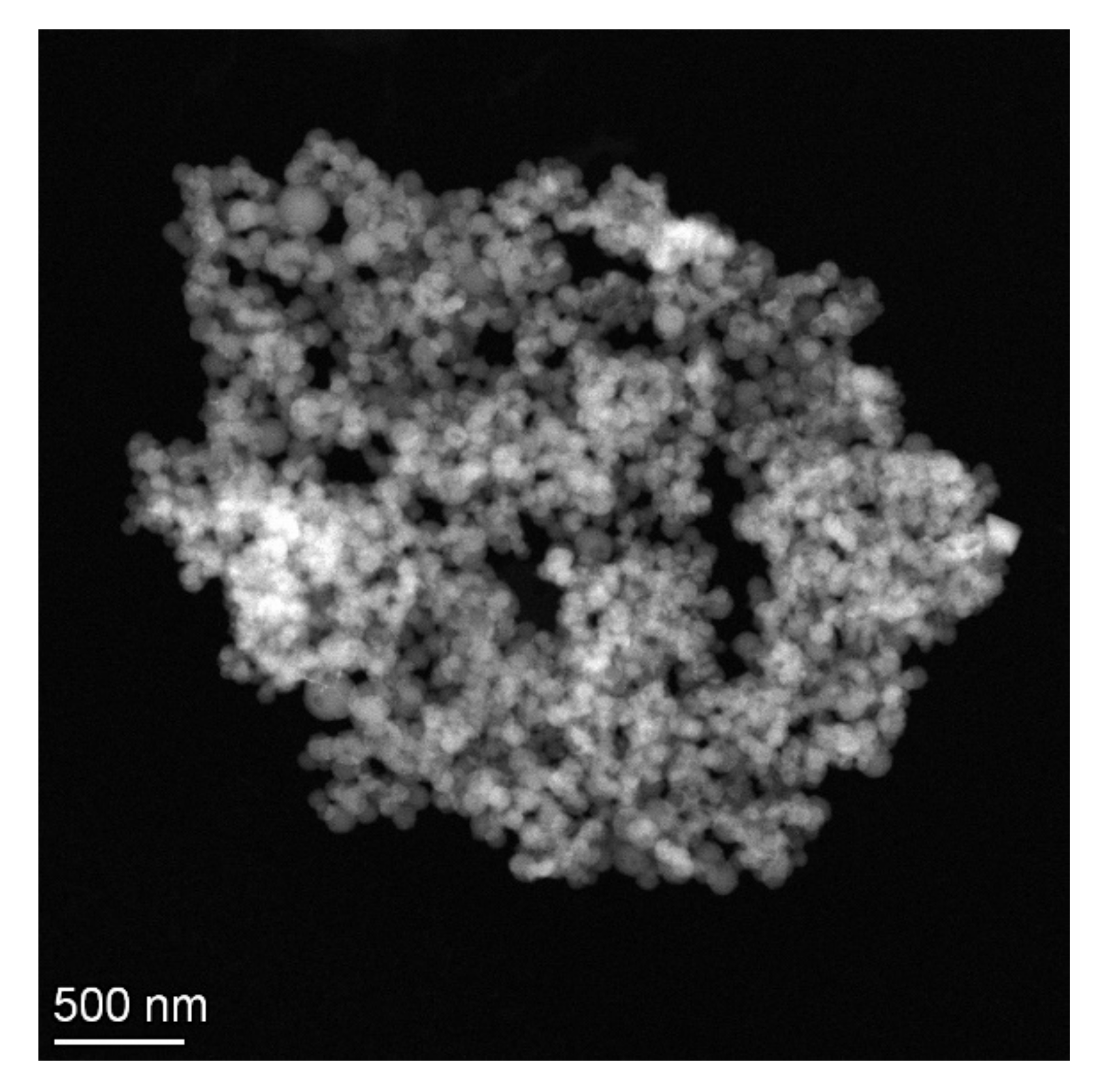 Ijms 22 13069 g002 550