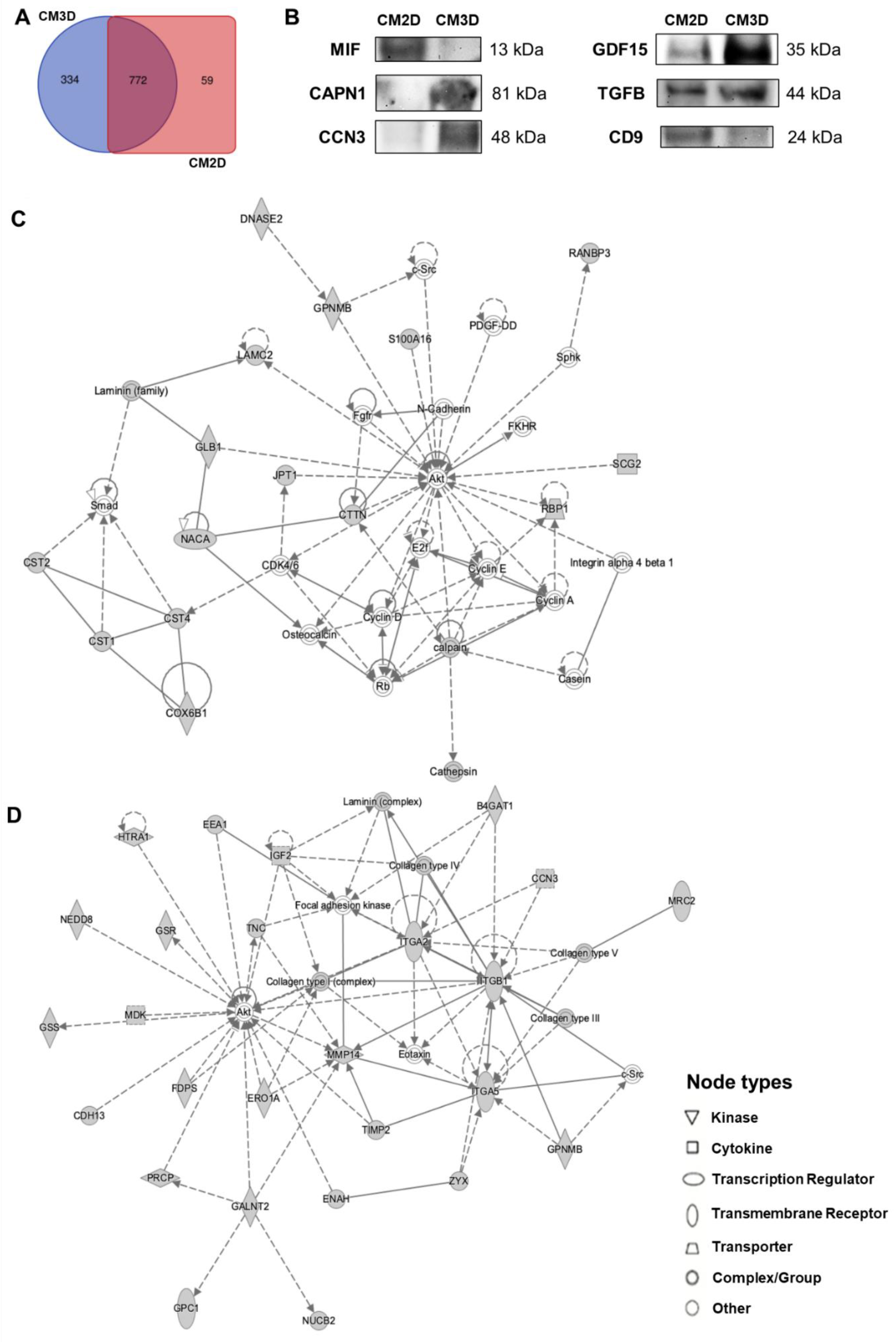 Ijms 22 13072 g001 550