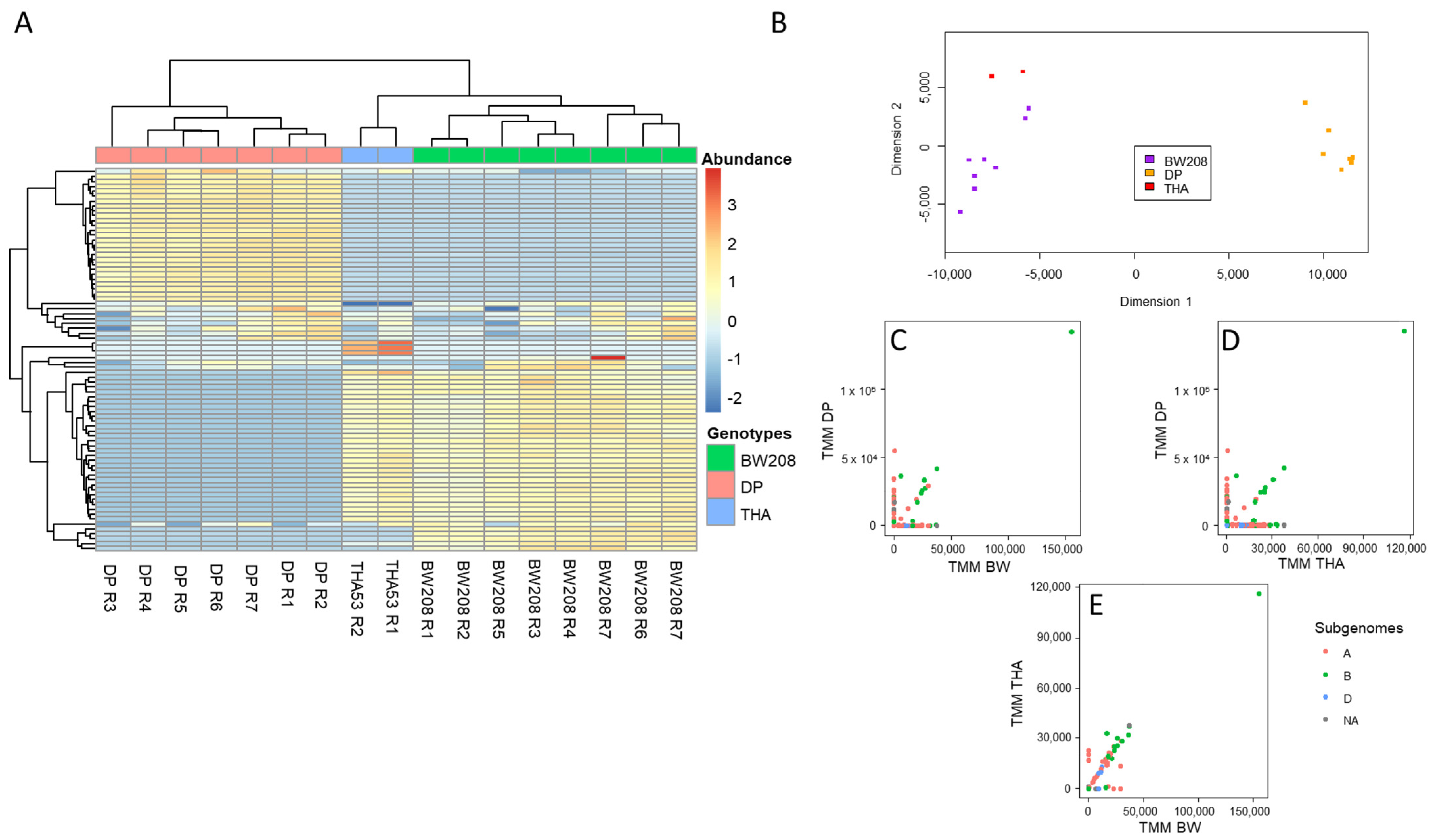 Ijms 22 13076 g001 550