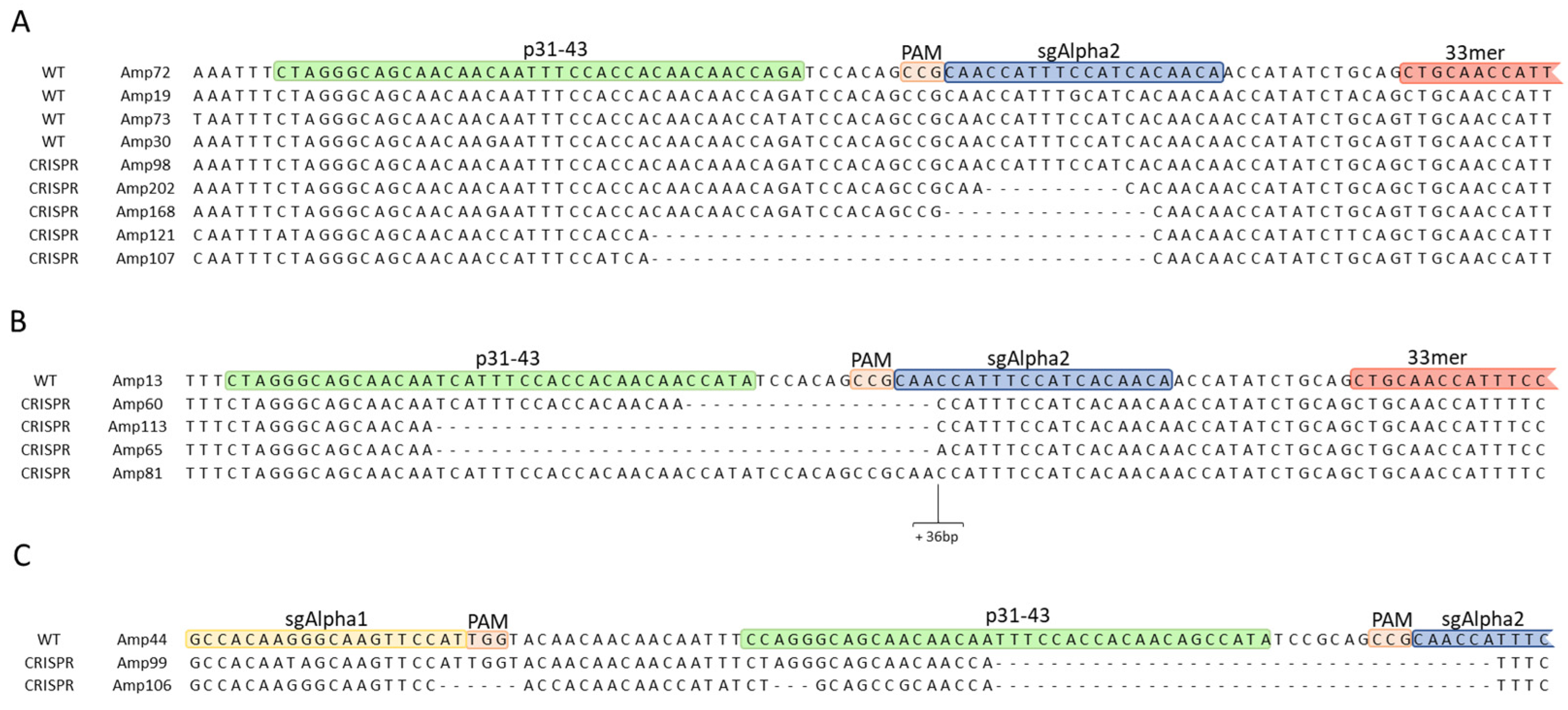 Ijms 22 13076 g004 550
