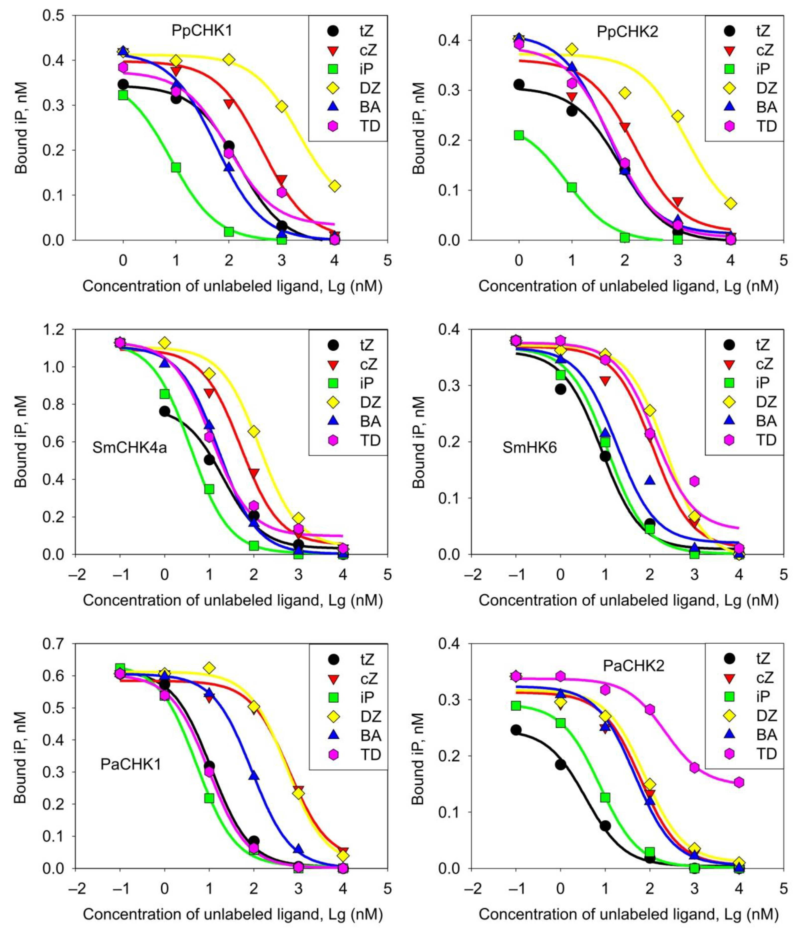 Ijms 22 13077 g005 Ijms 22 13077 g005