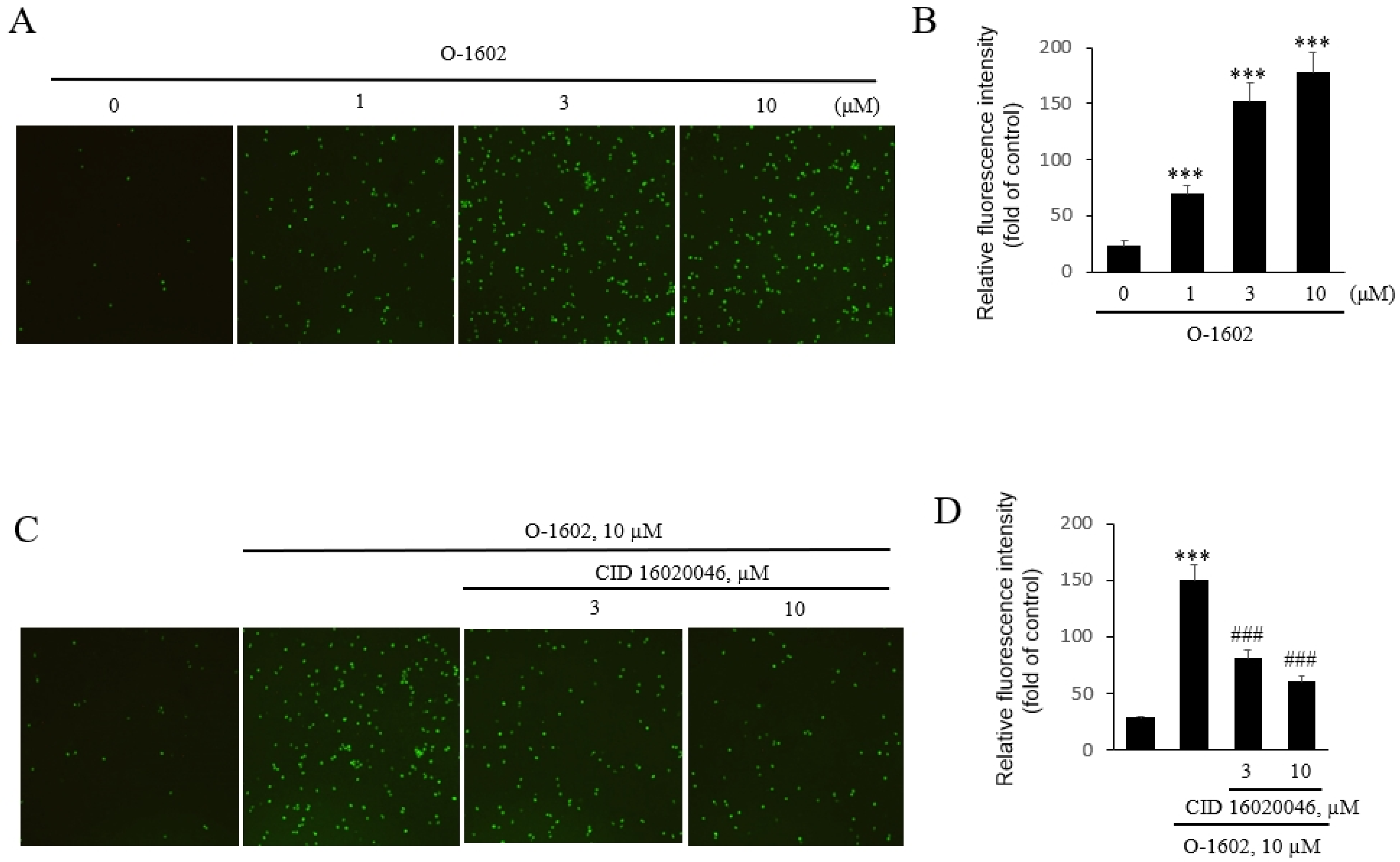 PE anti-mouse Ly-6A/E (Sca-1) antibody, Ly-6A/E, W18174A