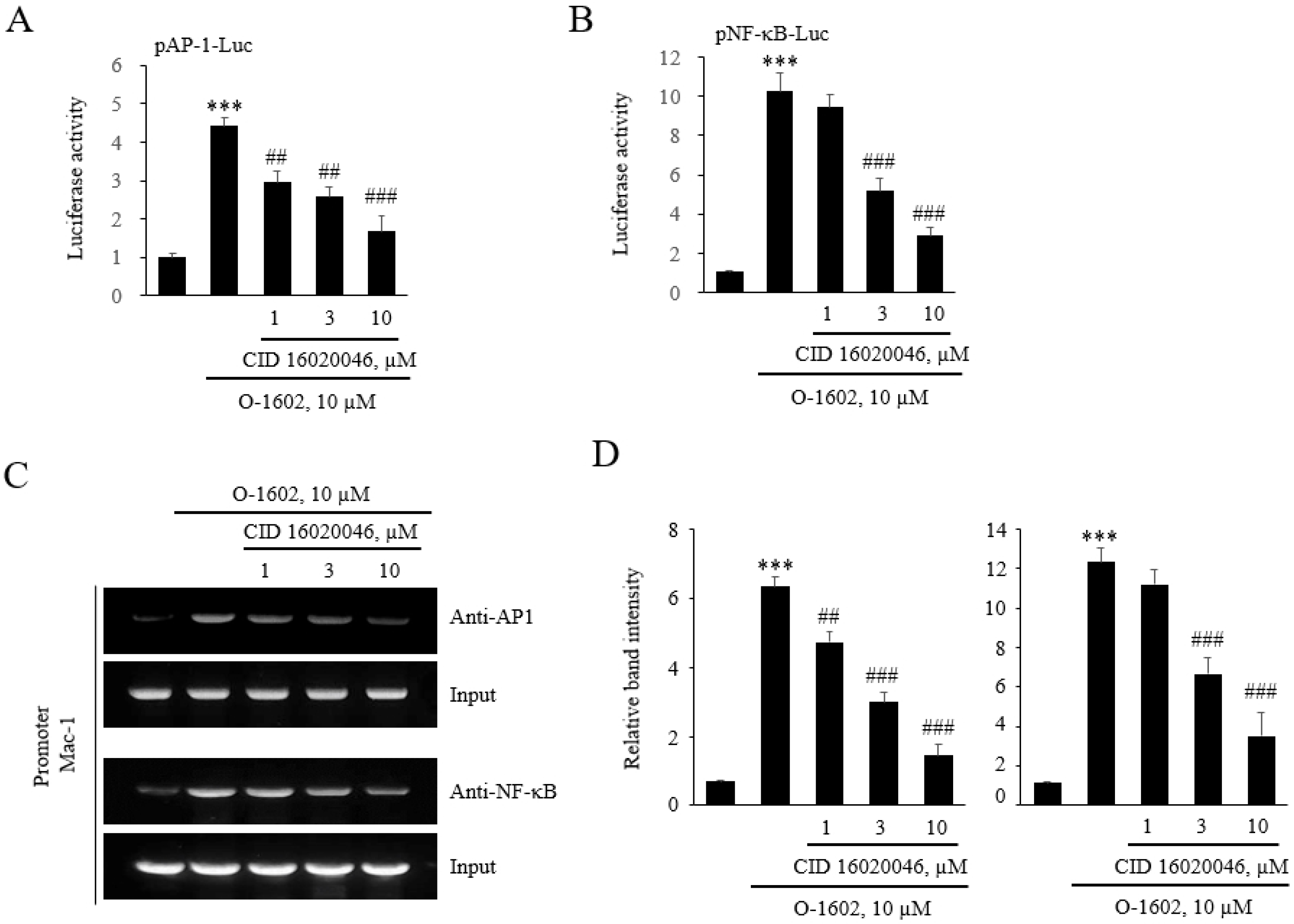 Ijms 22 13084 g008 550