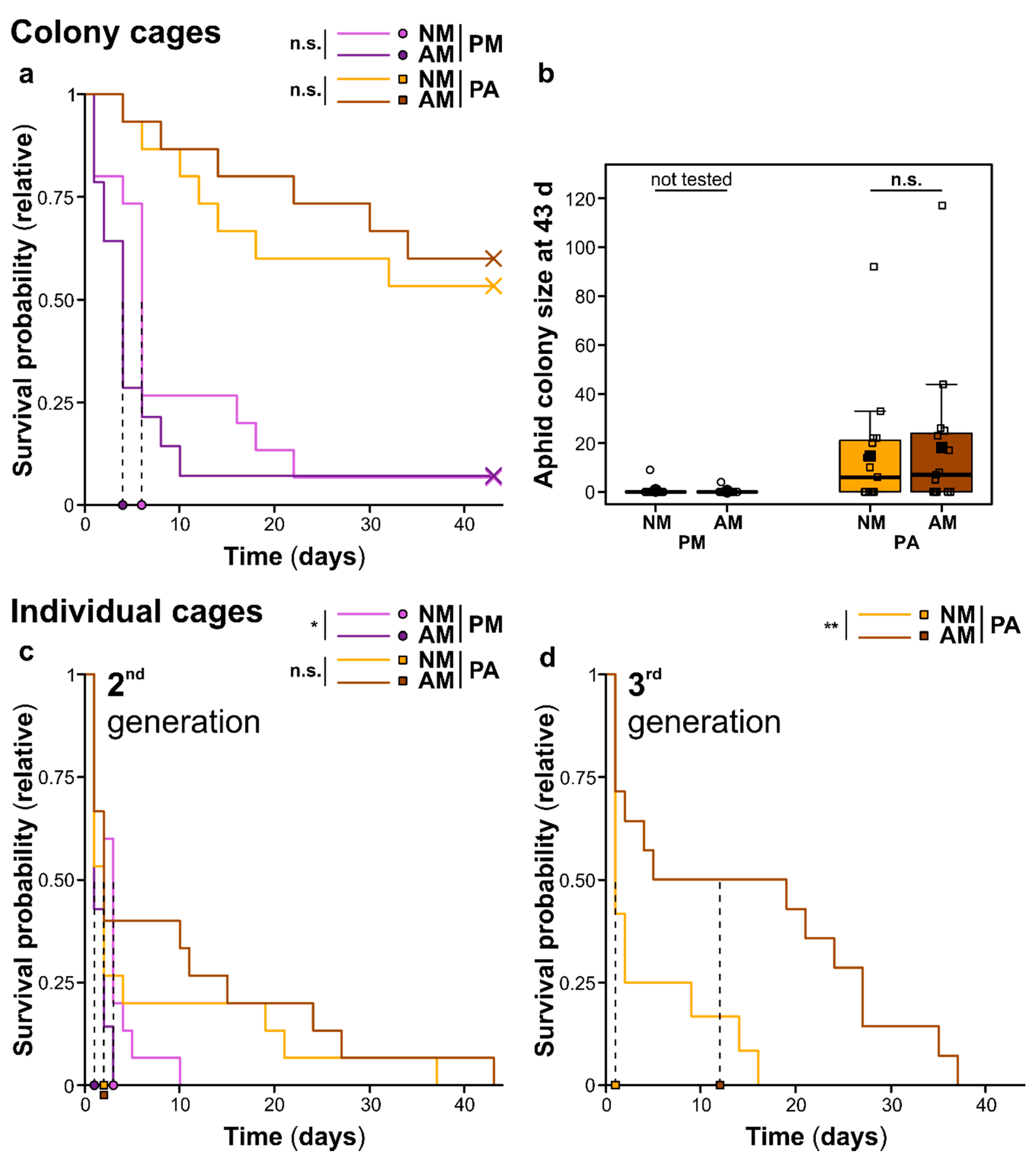 Ijms 22 13086 g004 550