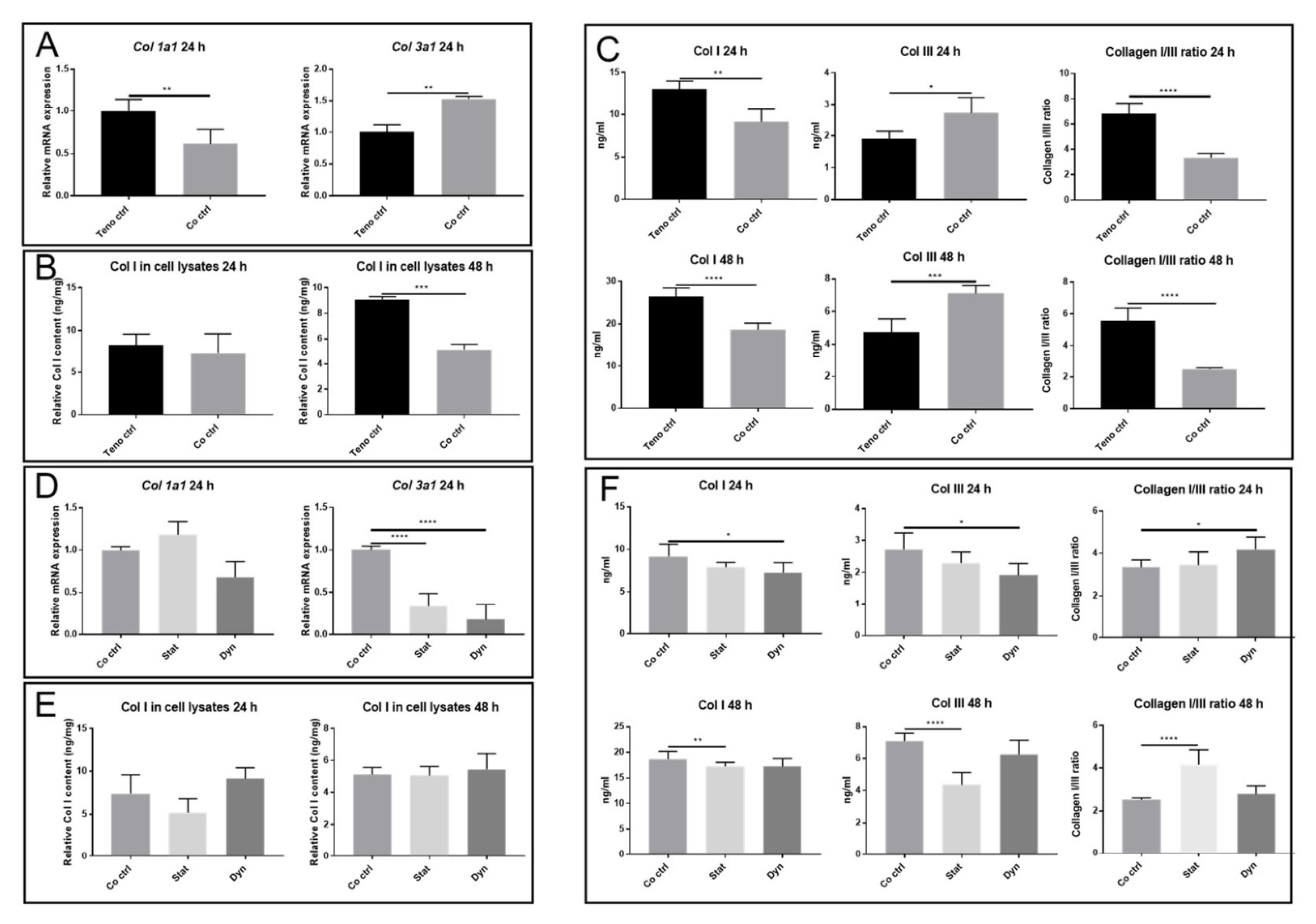 Ijms 22 13089 g003a Ijms 22 13089 g003a