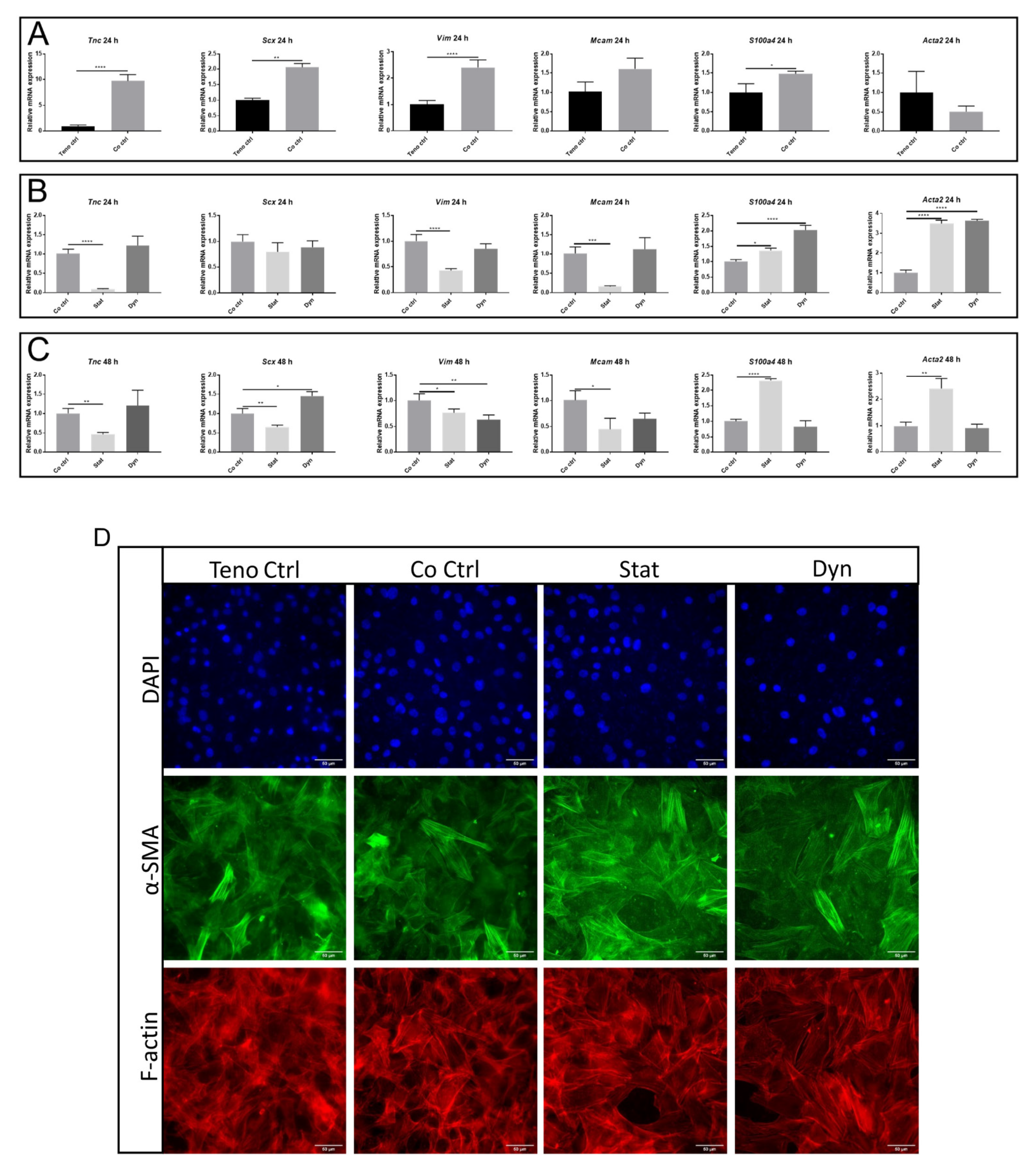 Ijms 22 13089 g004 Ijms 22 13089 g004