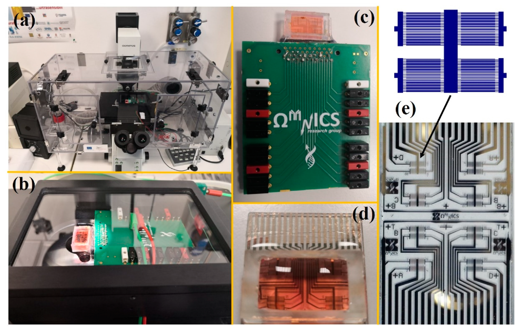 Ijms 22 13090 g001 550