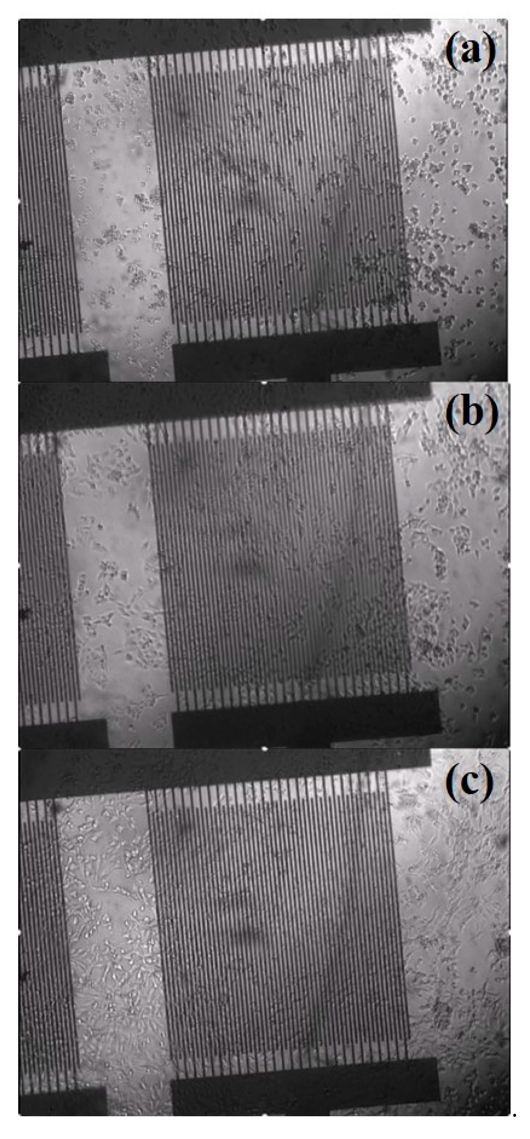 Ijms 22 13090 g003 550