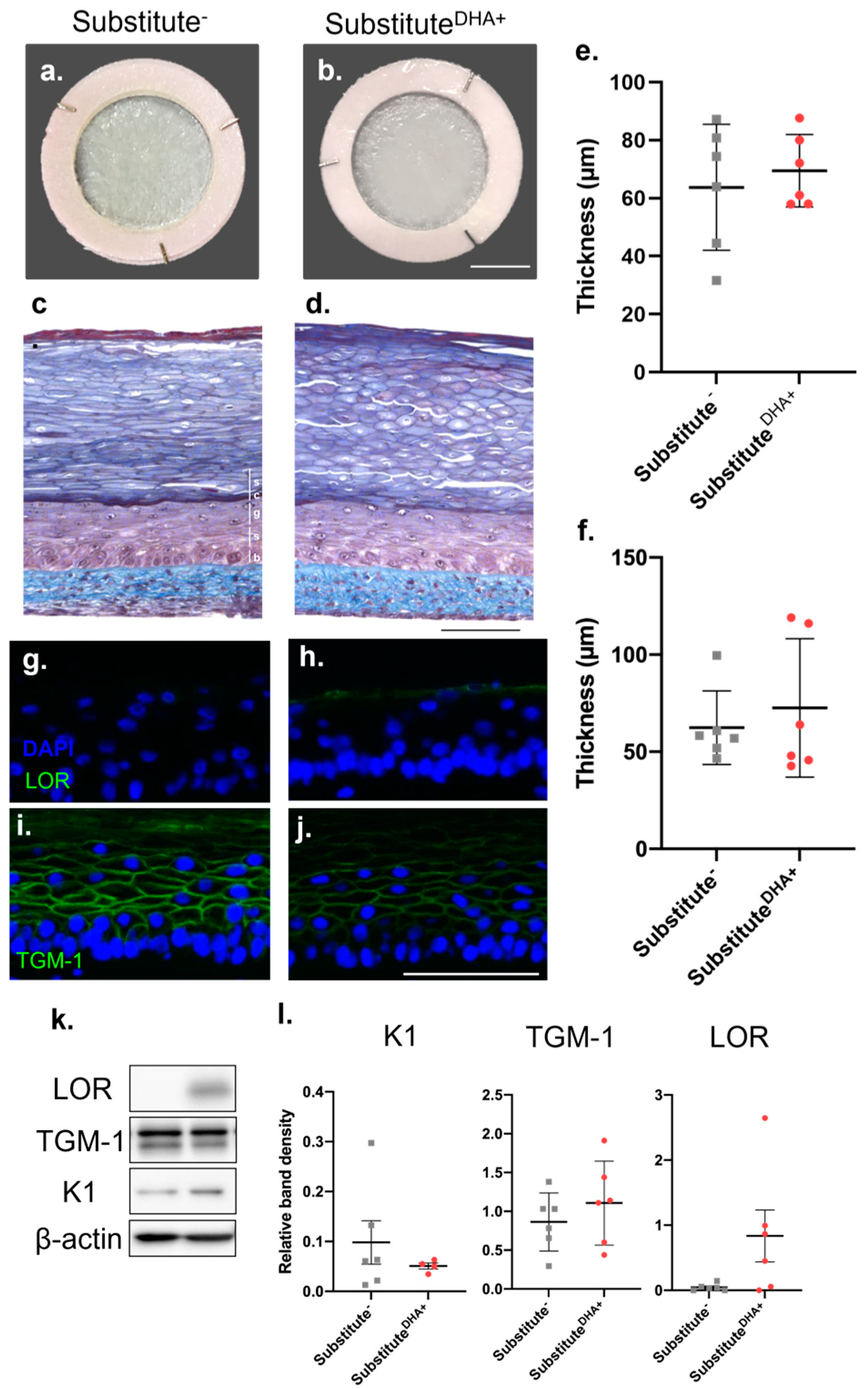 Ijms 22 13091 g001 550