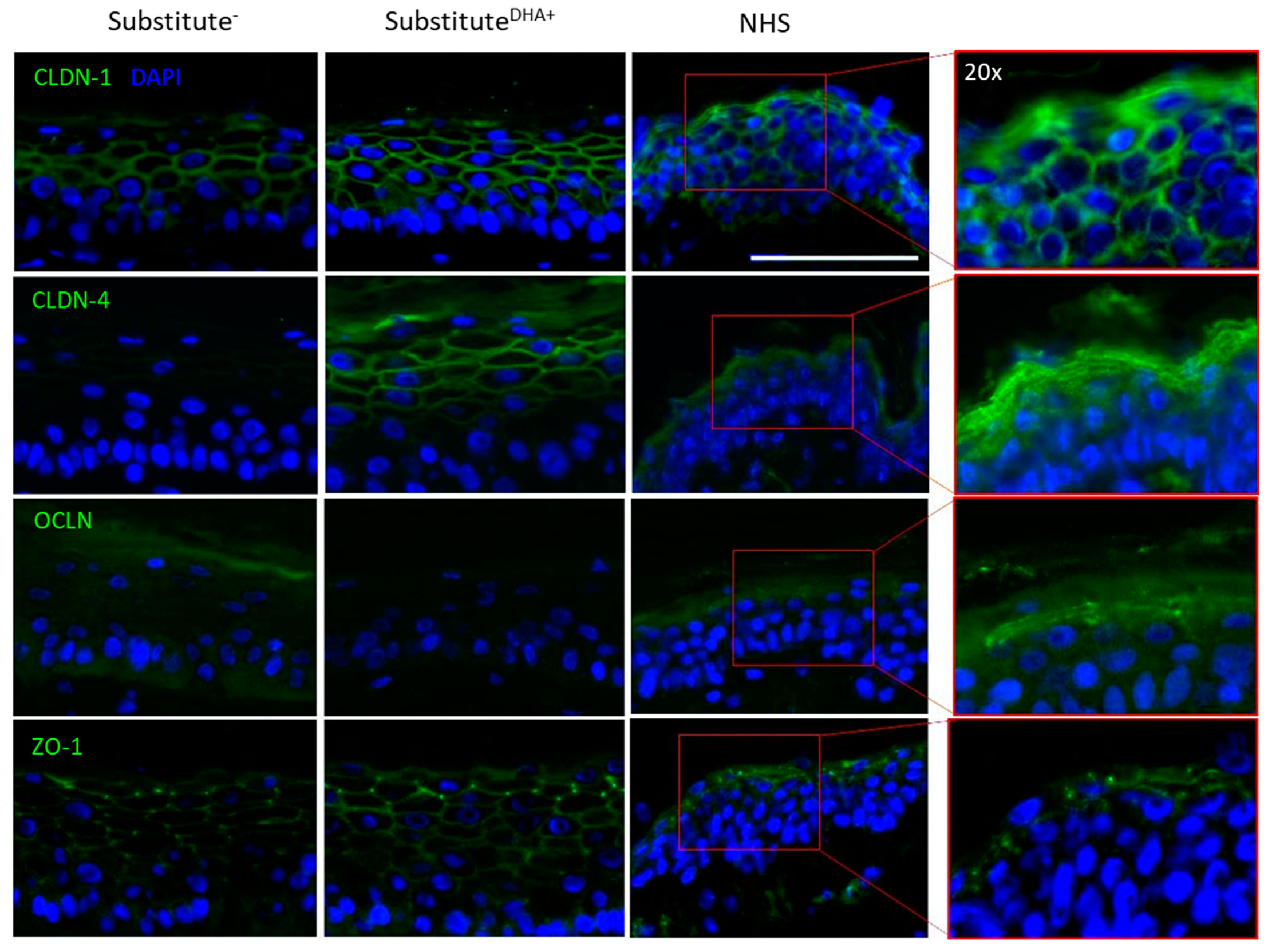 Ijms 22 13091 g004 550