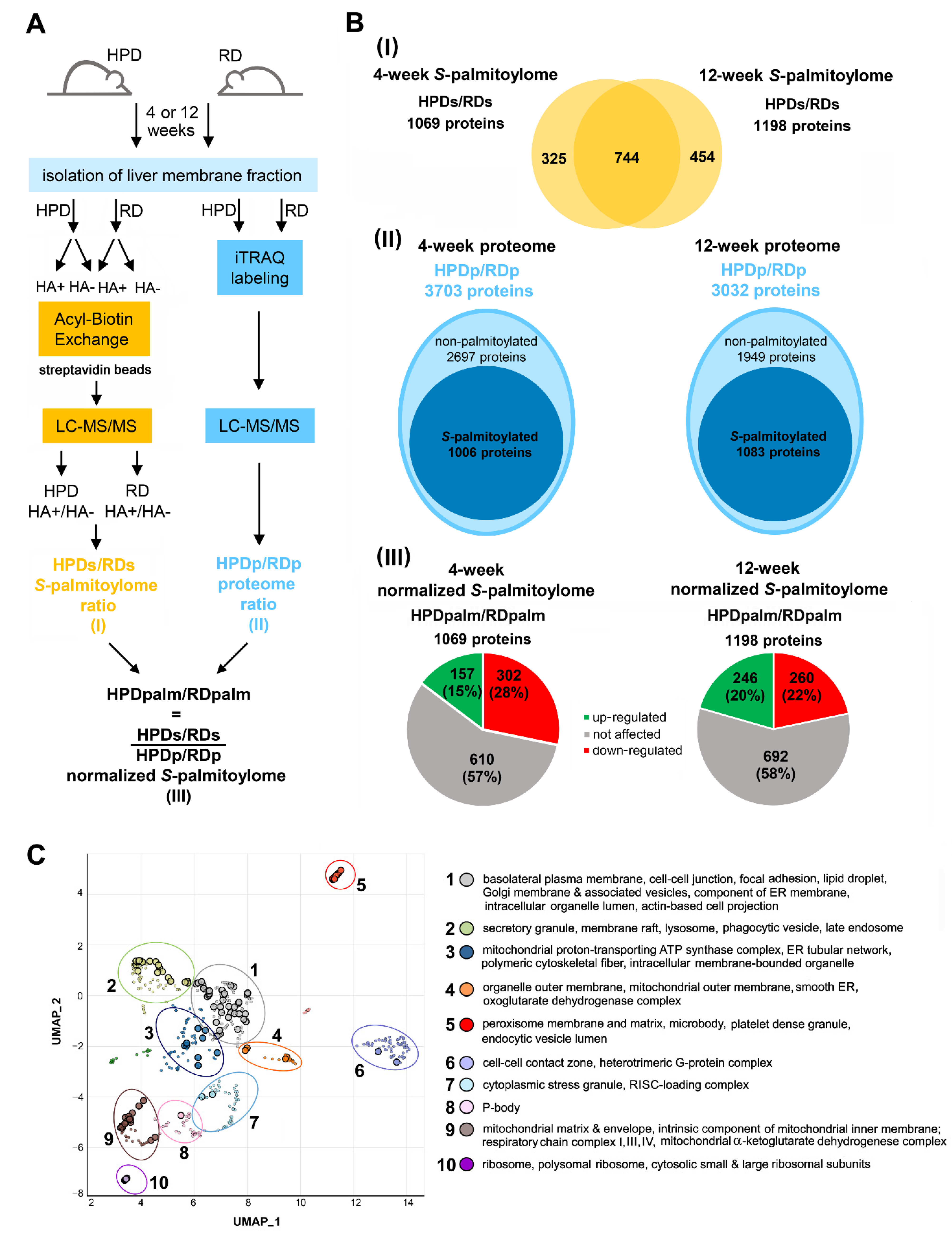 Ijms 22 13094 g003 550