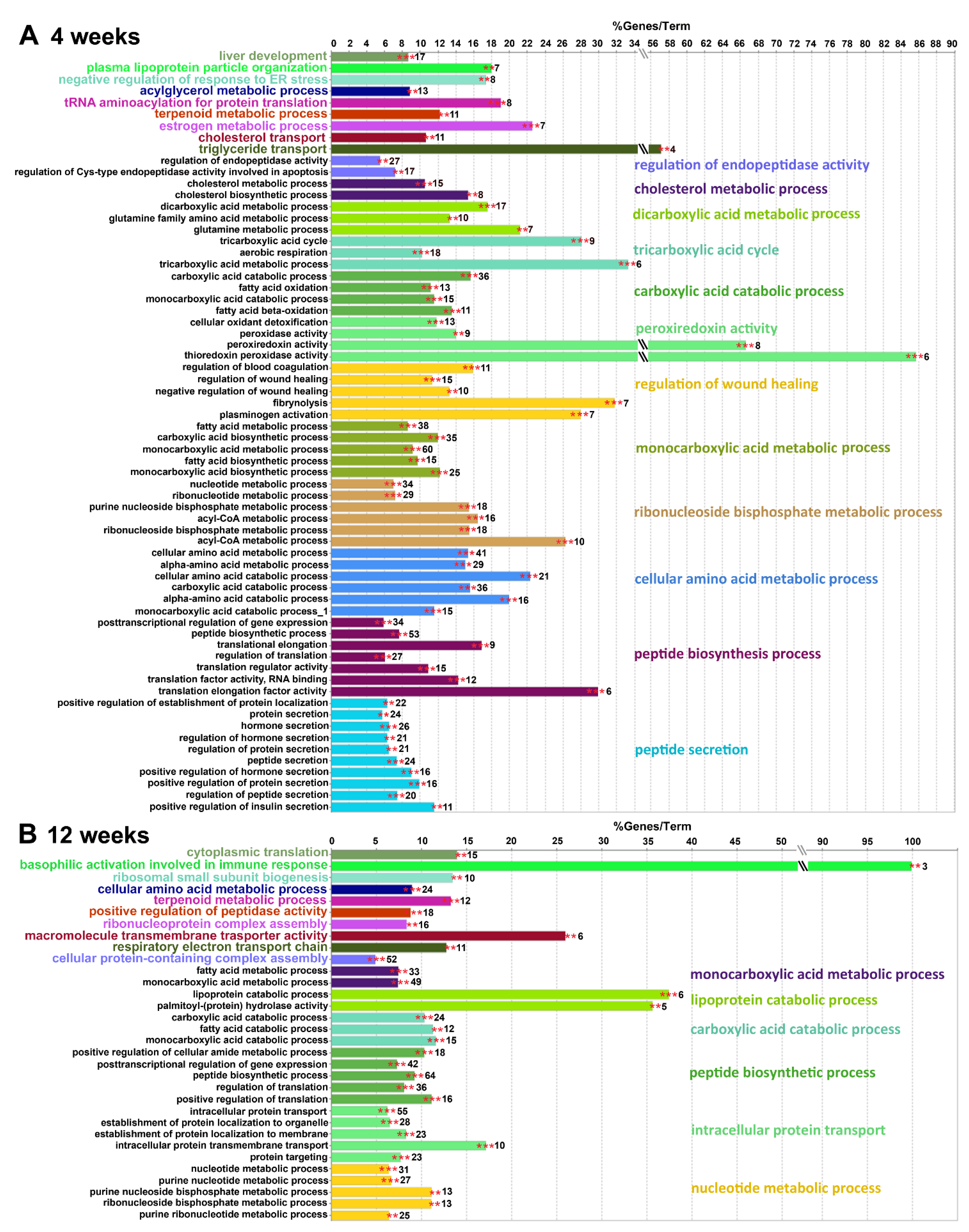 Ijms 22 13094 g007 550