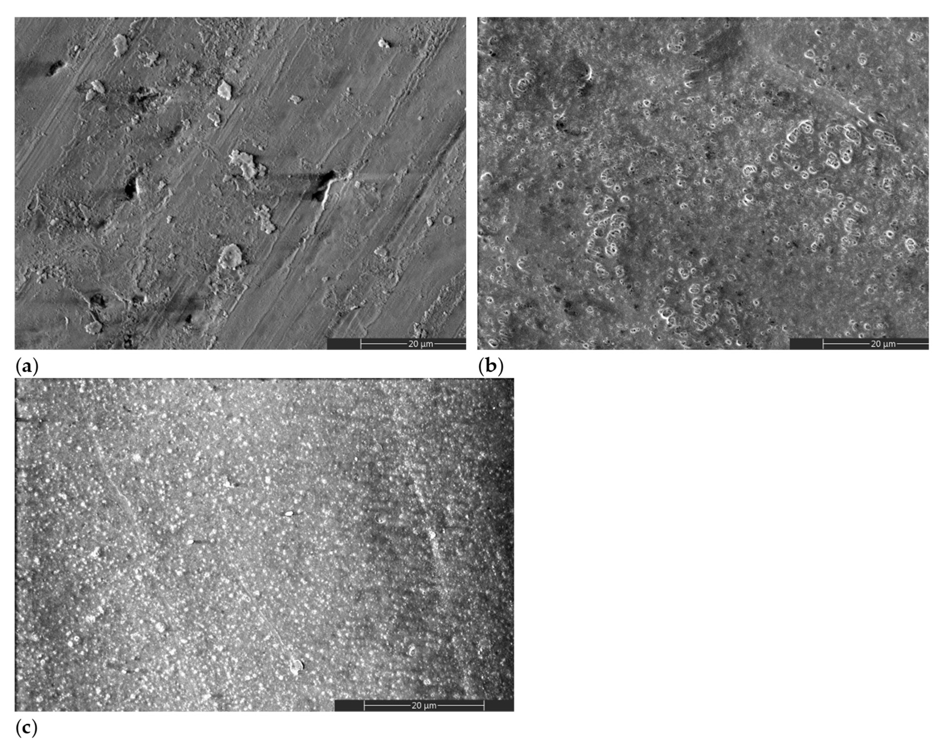 Ijms 22 13103 g002 550