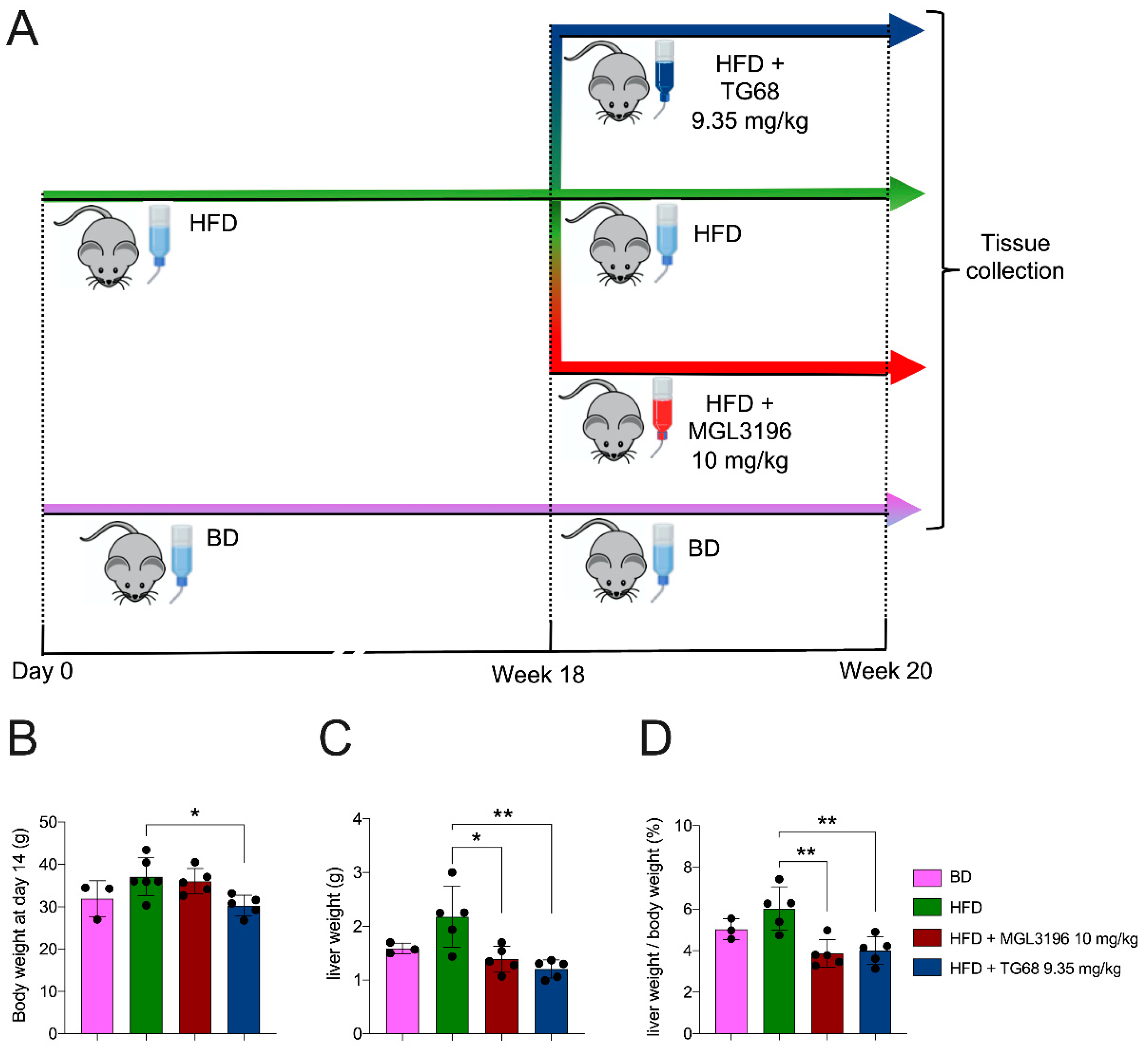 Ijms 22 13105 g001 550
