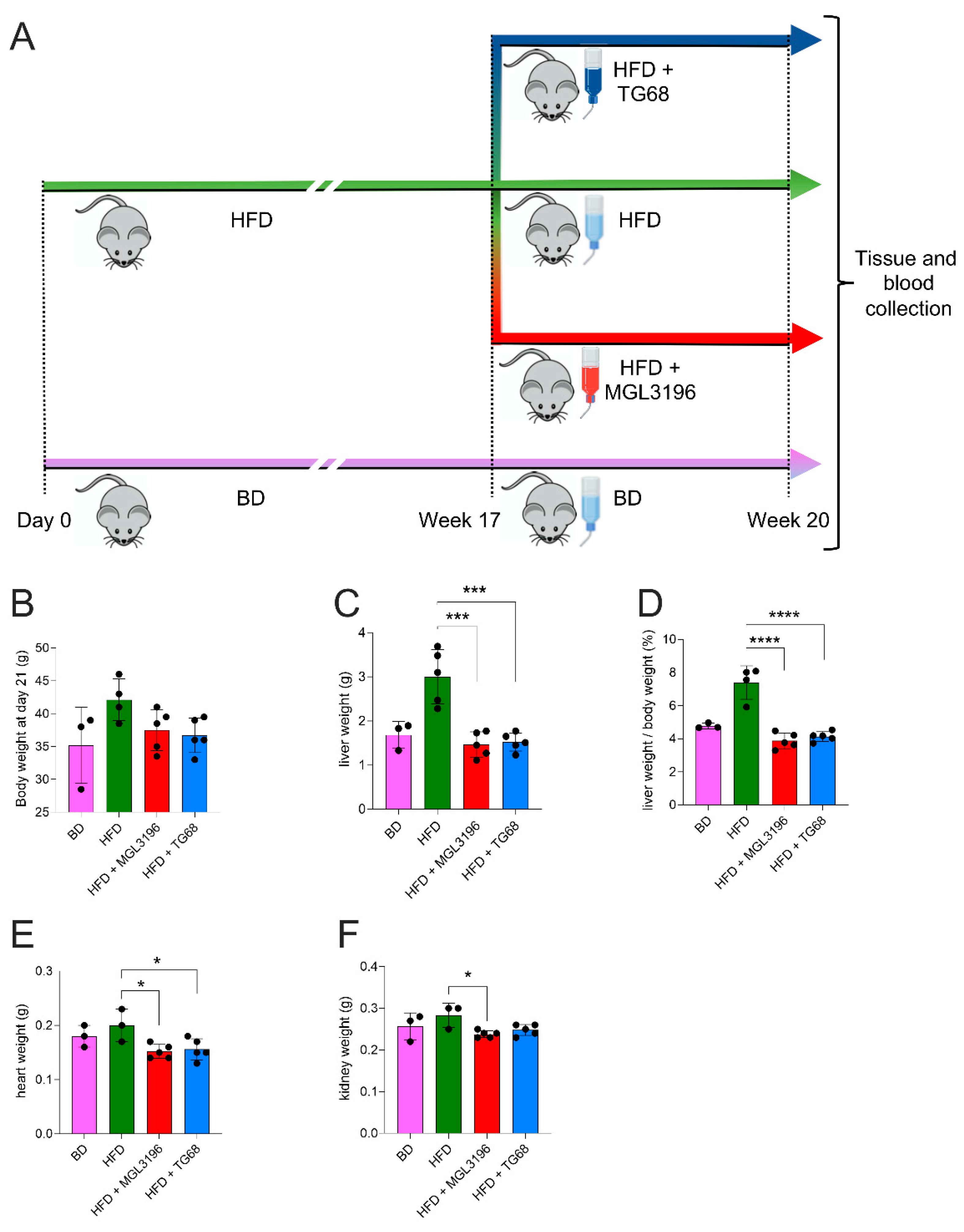 Ijms 22 13105 g003 550