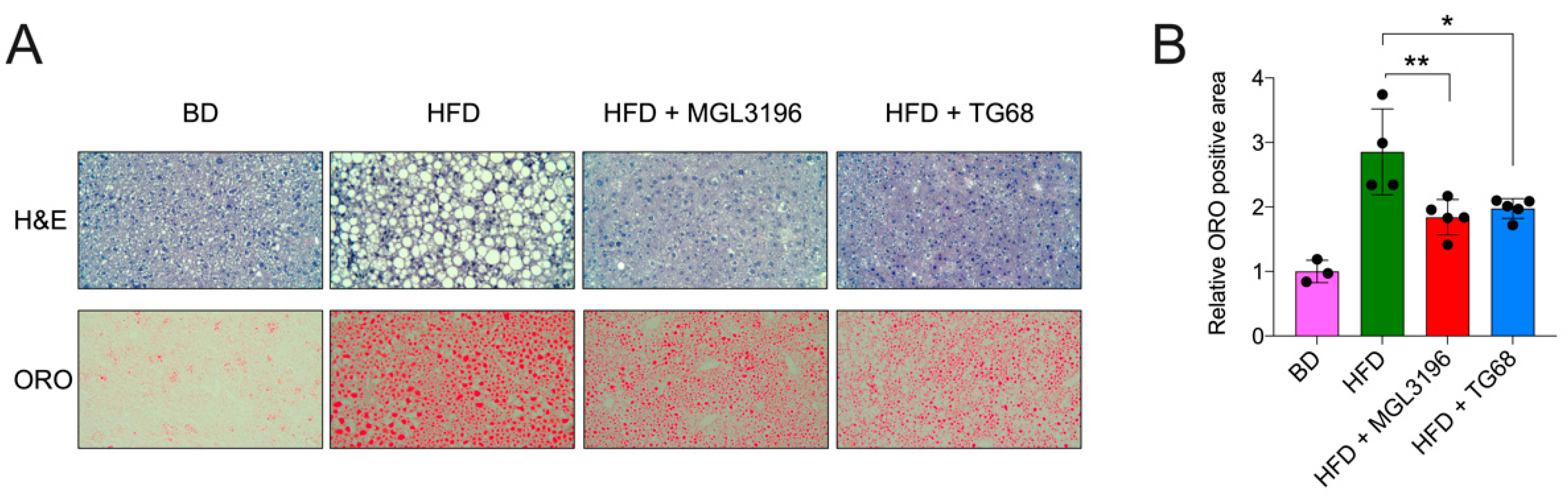 Ijms 22 13105 g004 550