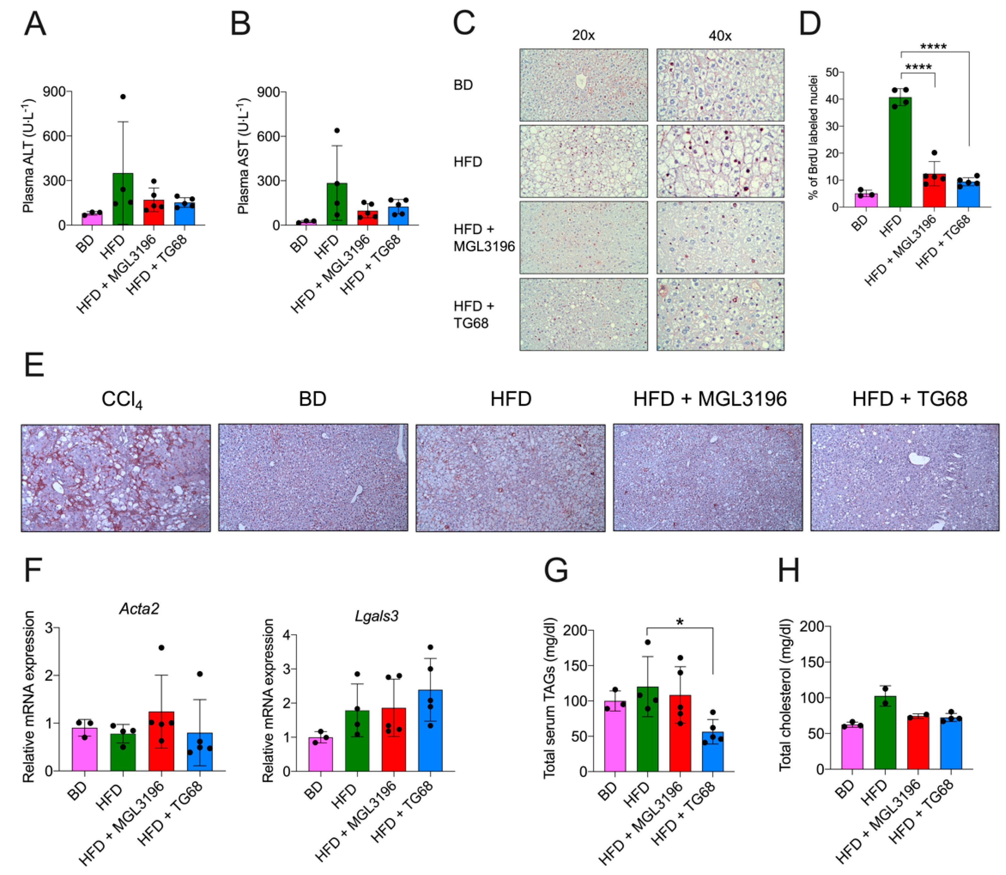 Ijms 22 13105 g005 550