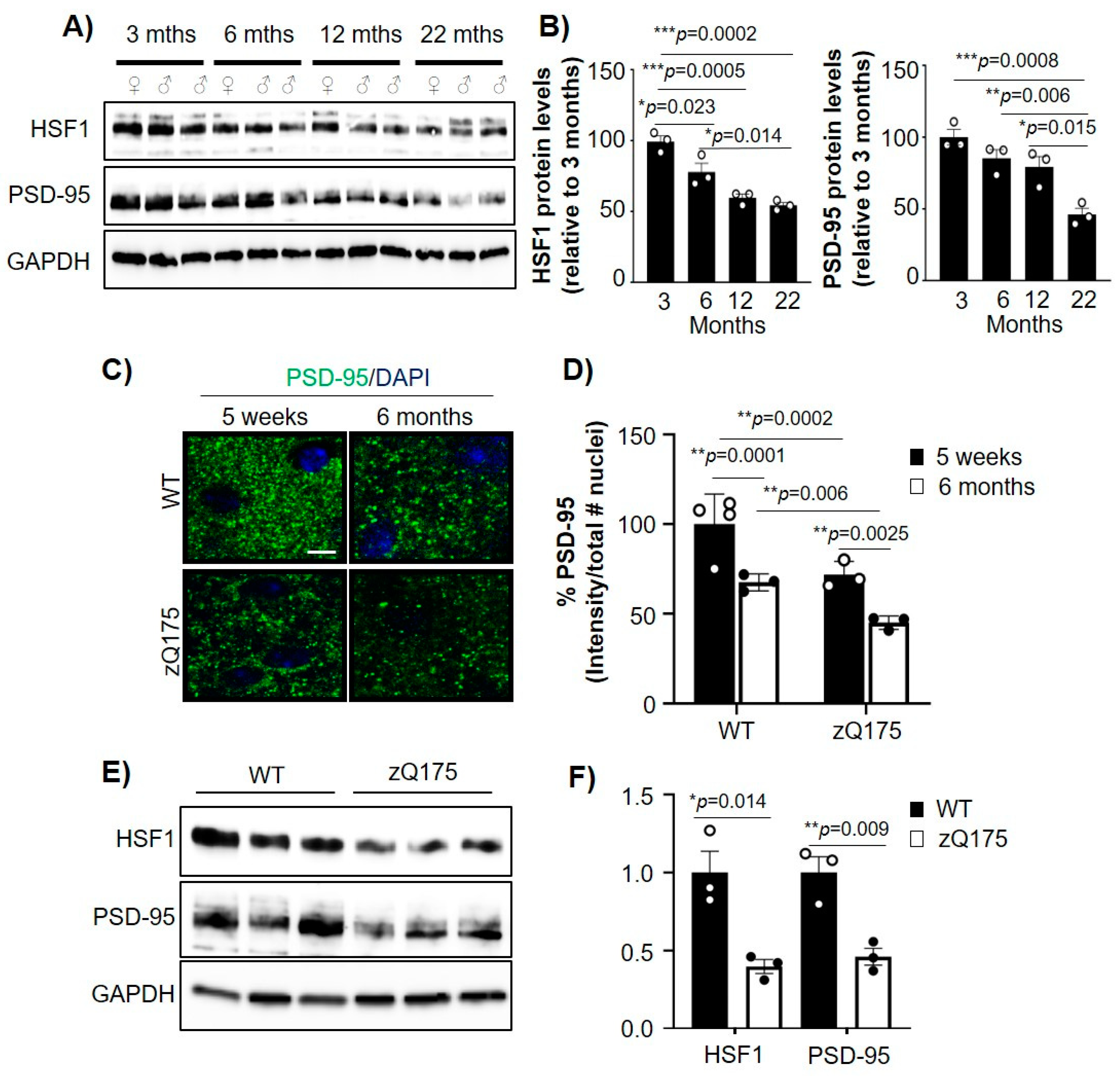 Ijms 22 13113 g001 550